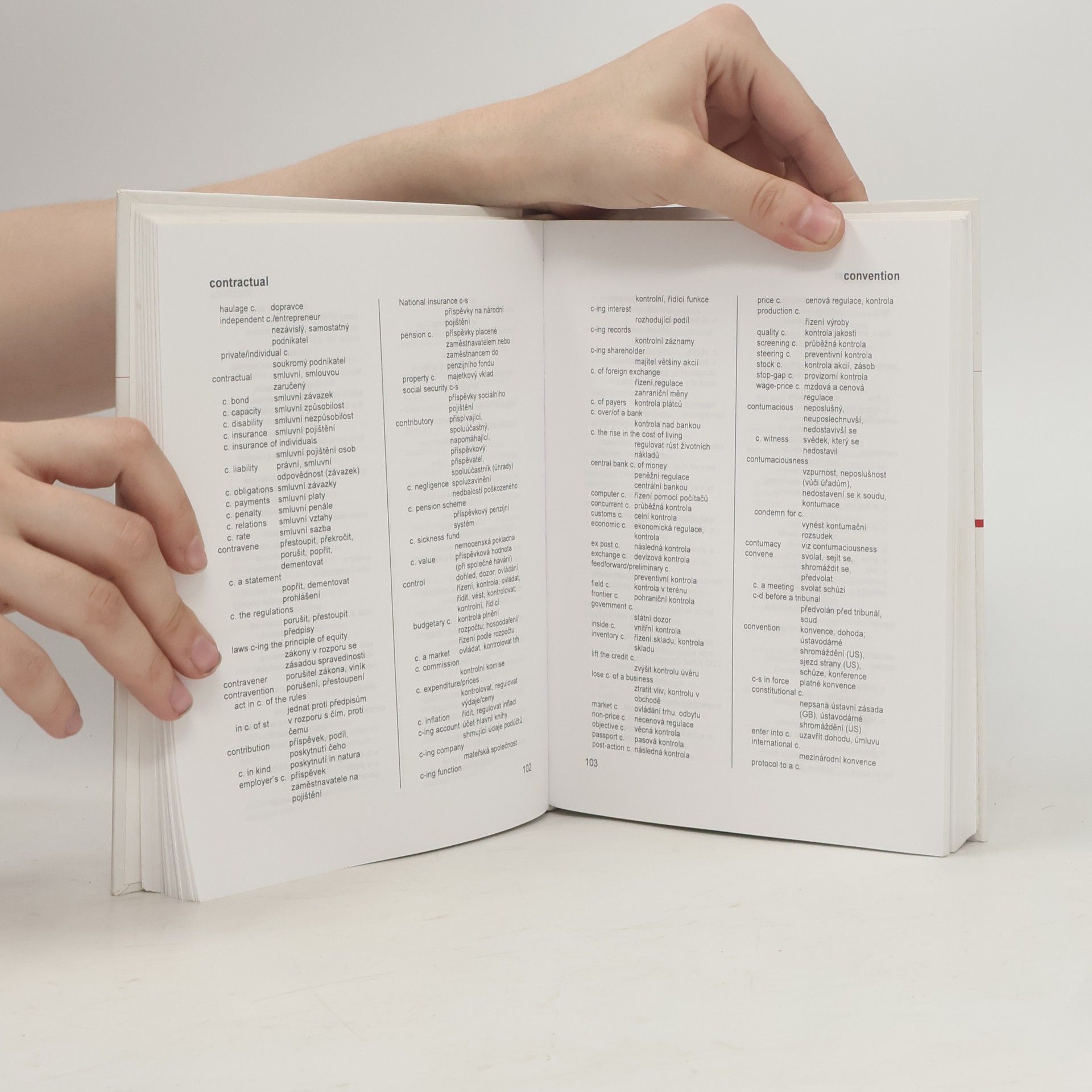 Autorenkollektiv Odborný slovník anglicko-český z oblasti ekonomické, finanční a právní