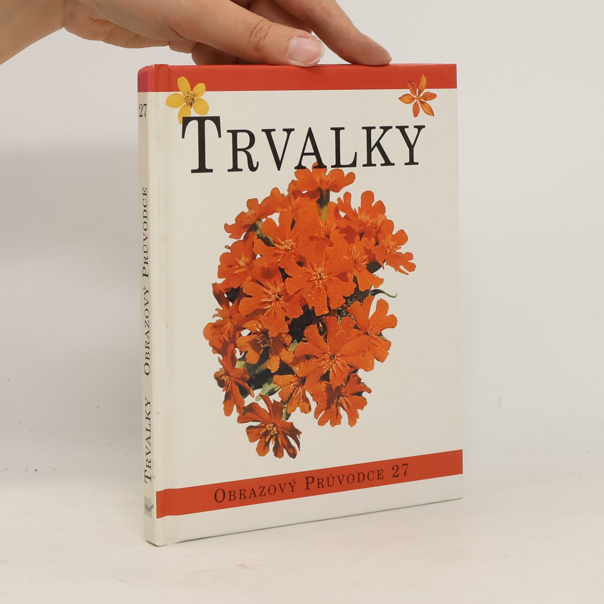 Petra Narandžičová Trvalky