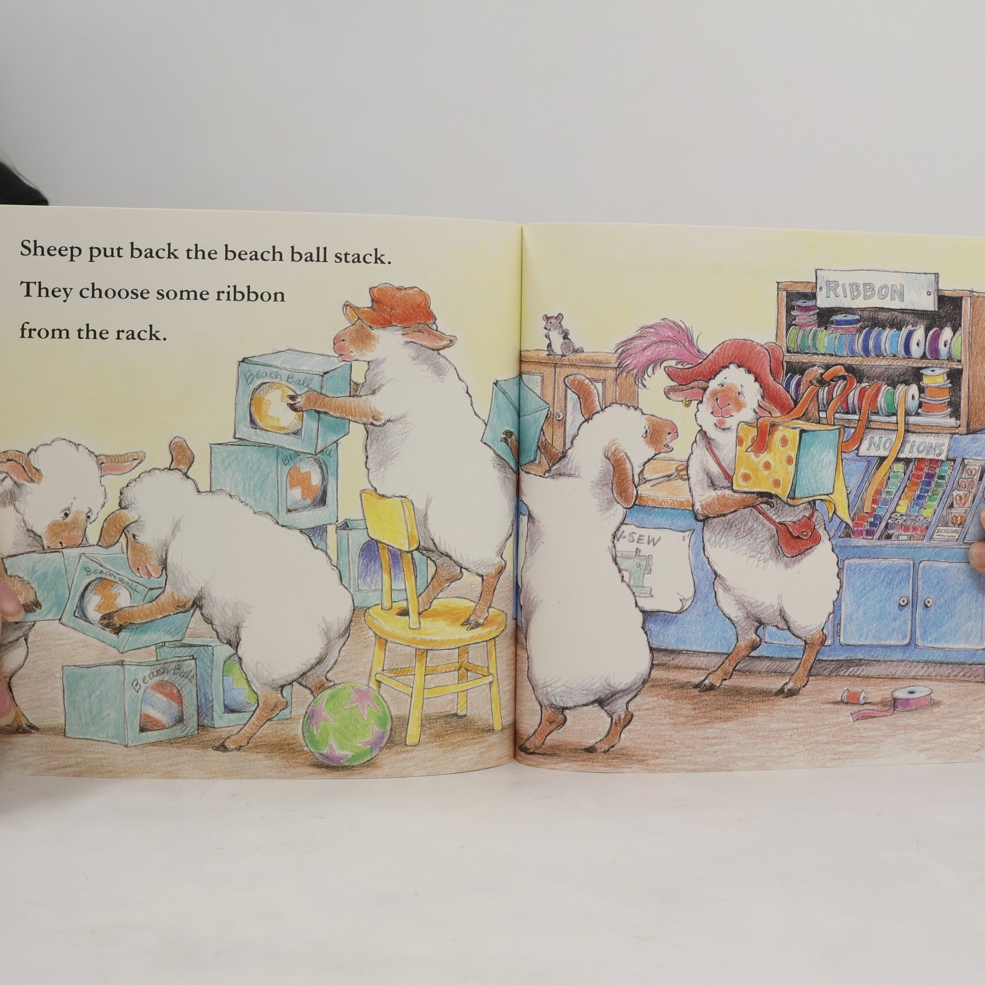 Nancy E. Shaw Sheep in a Shop