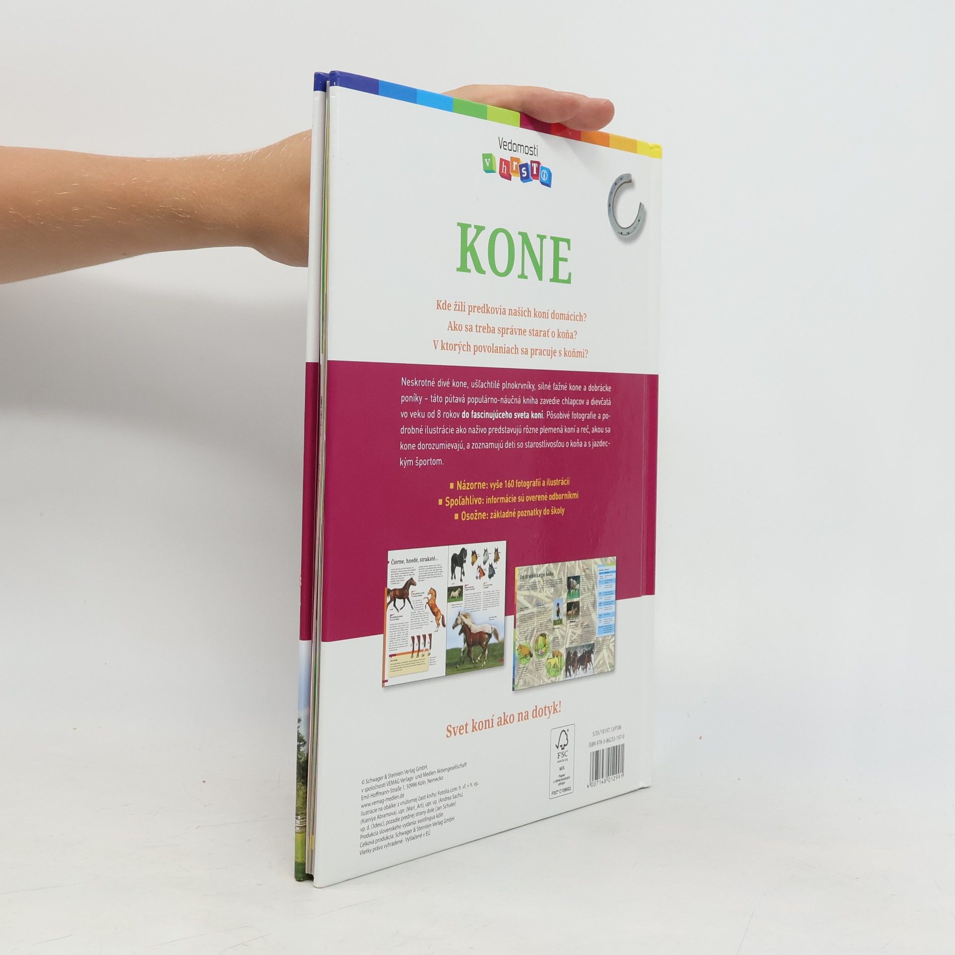 Anja Schriever Kone