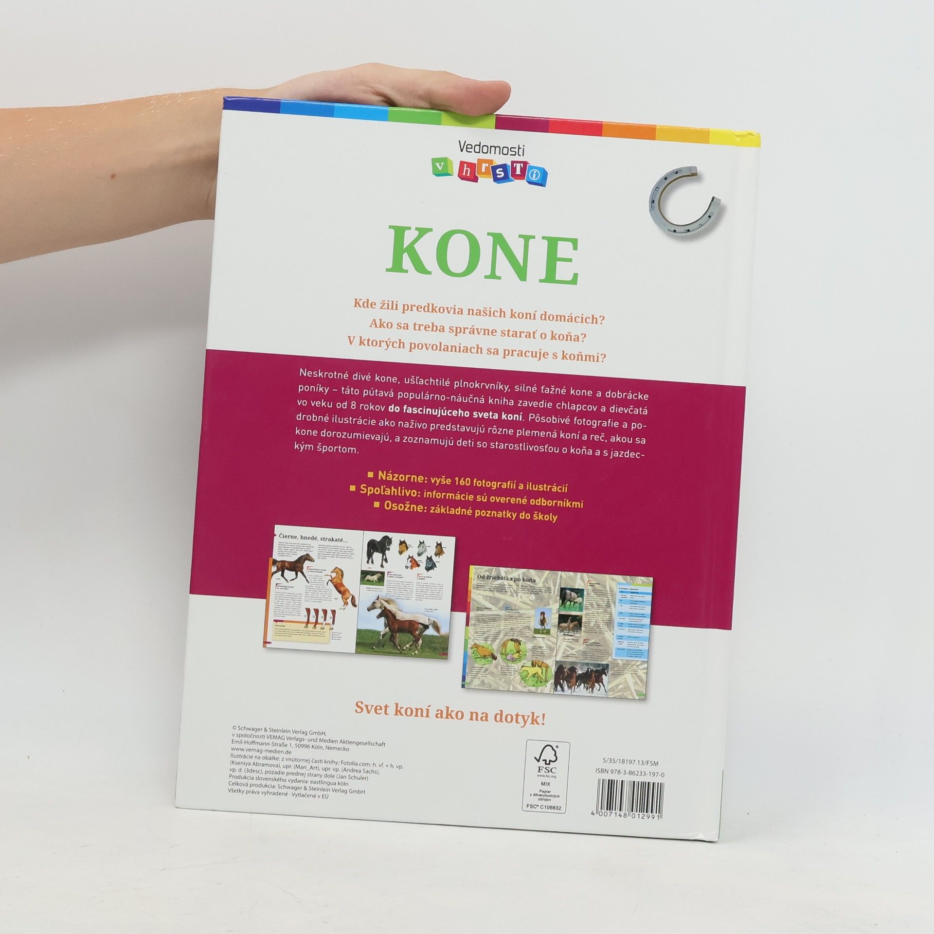 Anja Schriever Kone