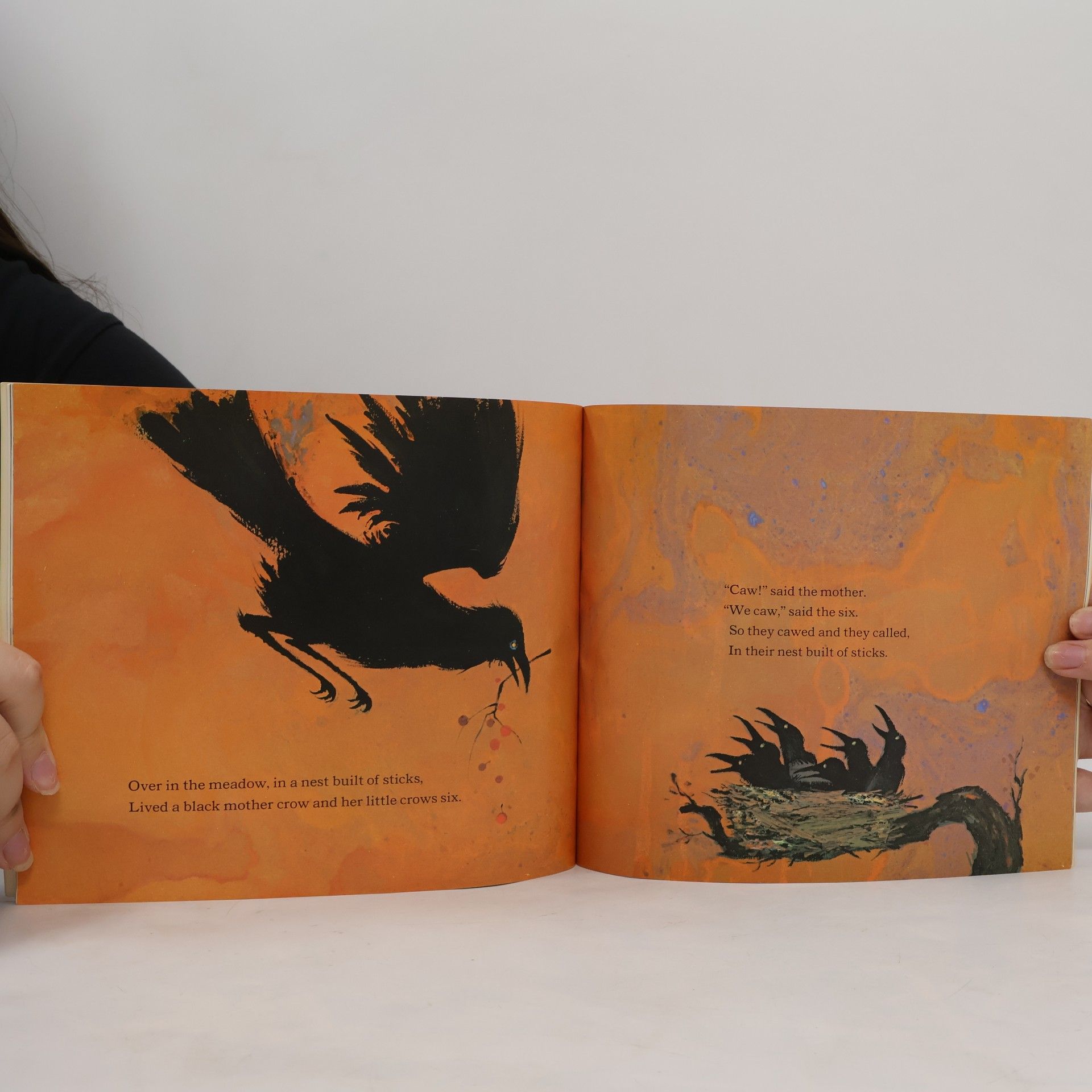 Ezra Jack Keats Over in the Meadow