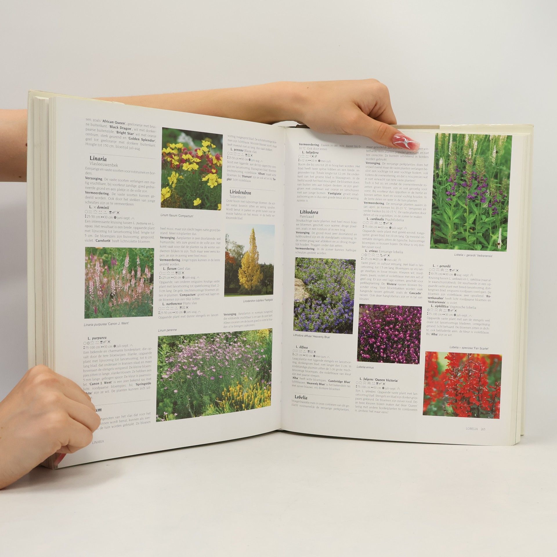 Herwig R. Friedag Herwig tuinplantenencyclopedie