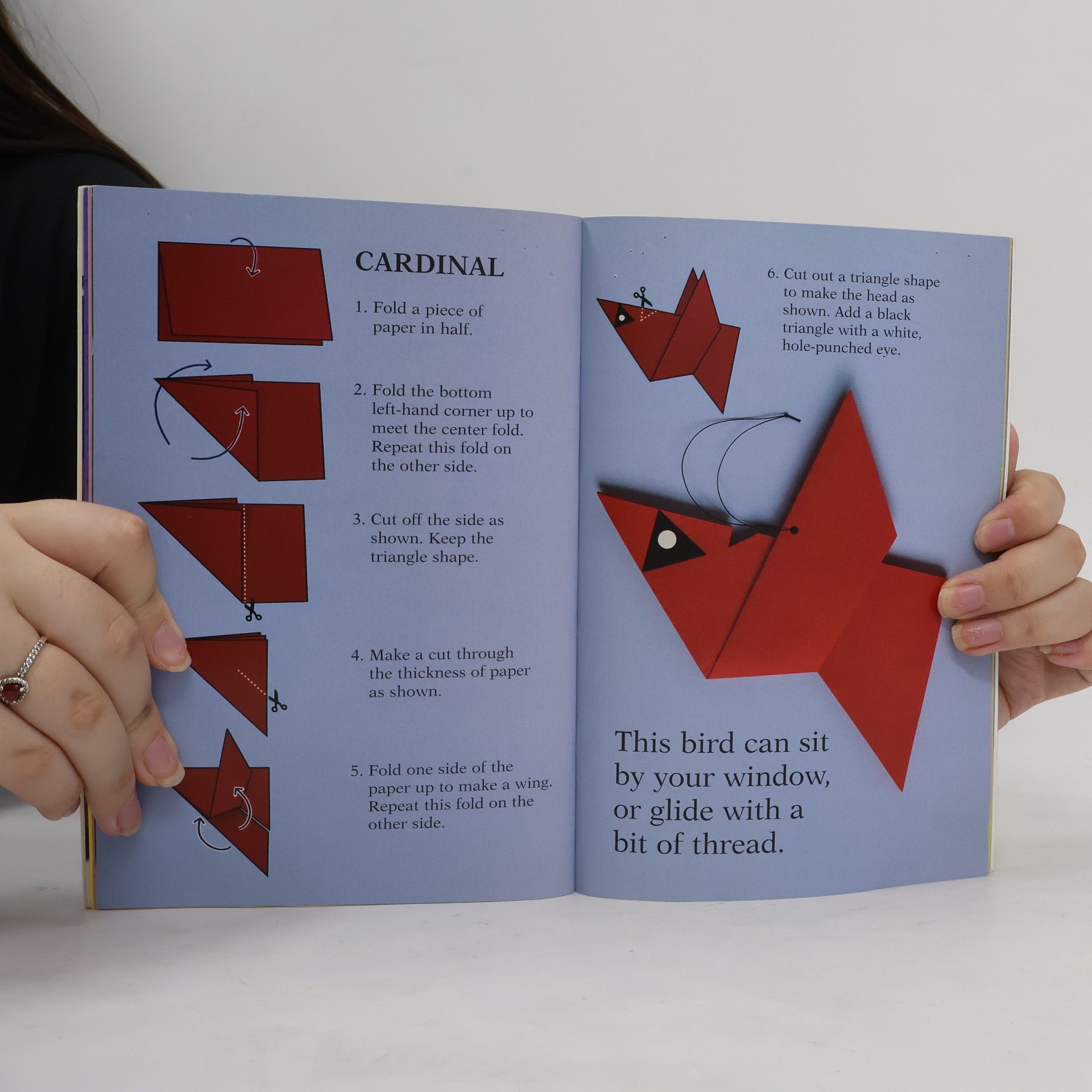 Judith Moffatt Hello Reader! - Level 2: Snow Shapes