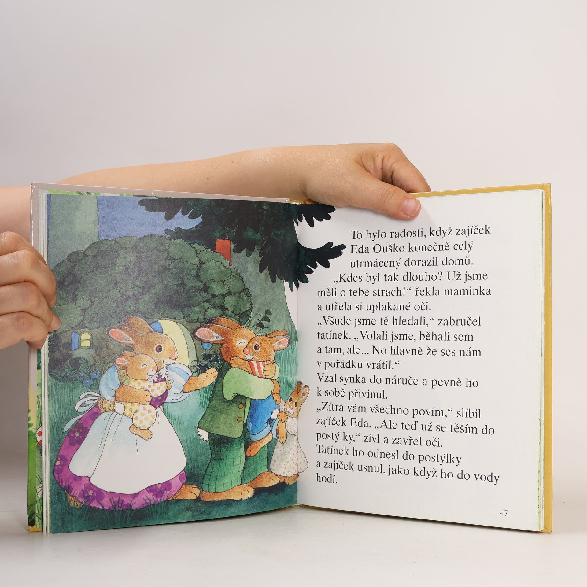 Dagmar Steidl Zajíček Ouško jde do školy