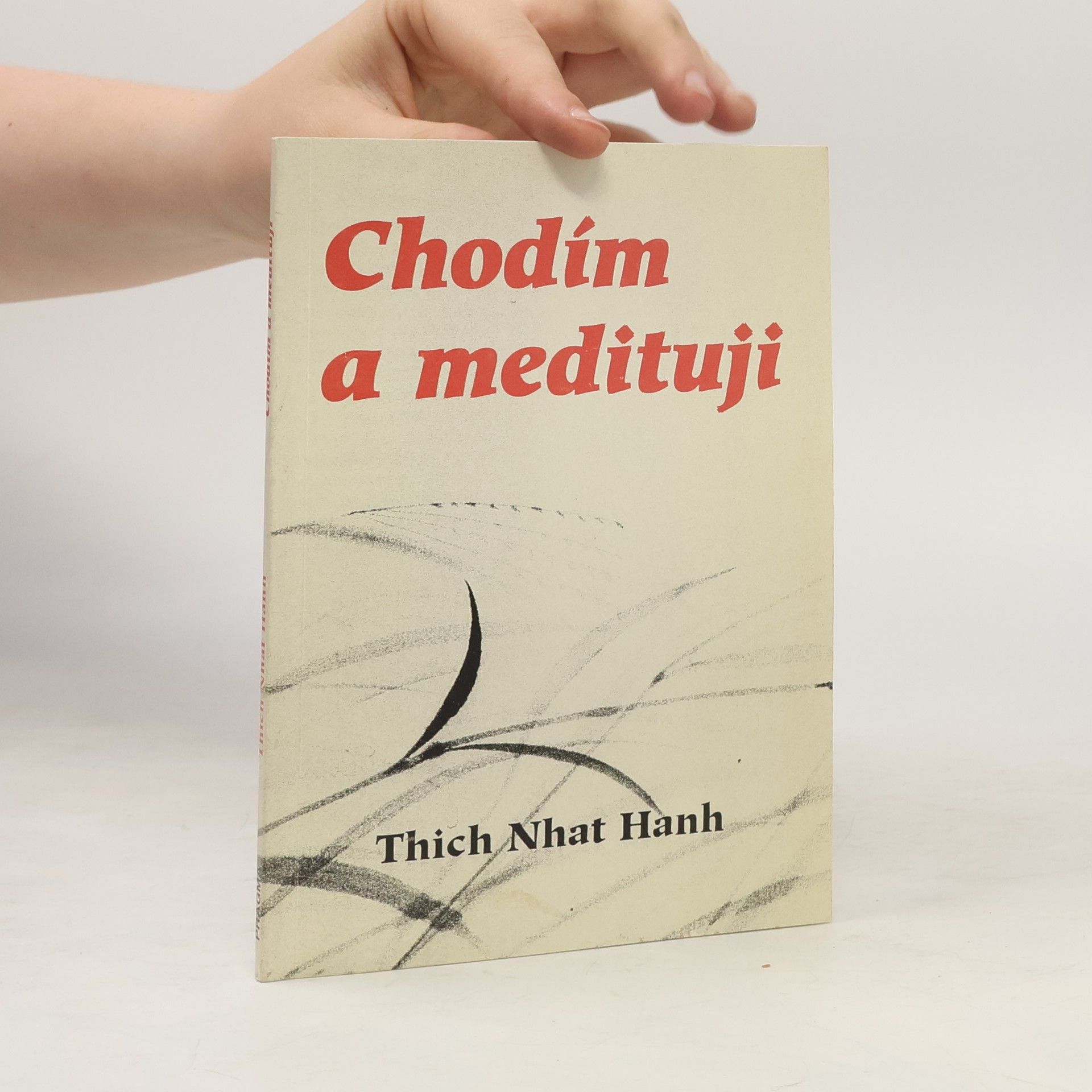 Hạnh Nhat Chodím a medituji