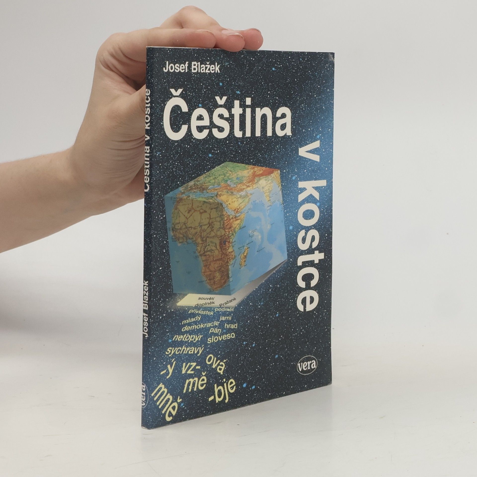 Čeština v kostce