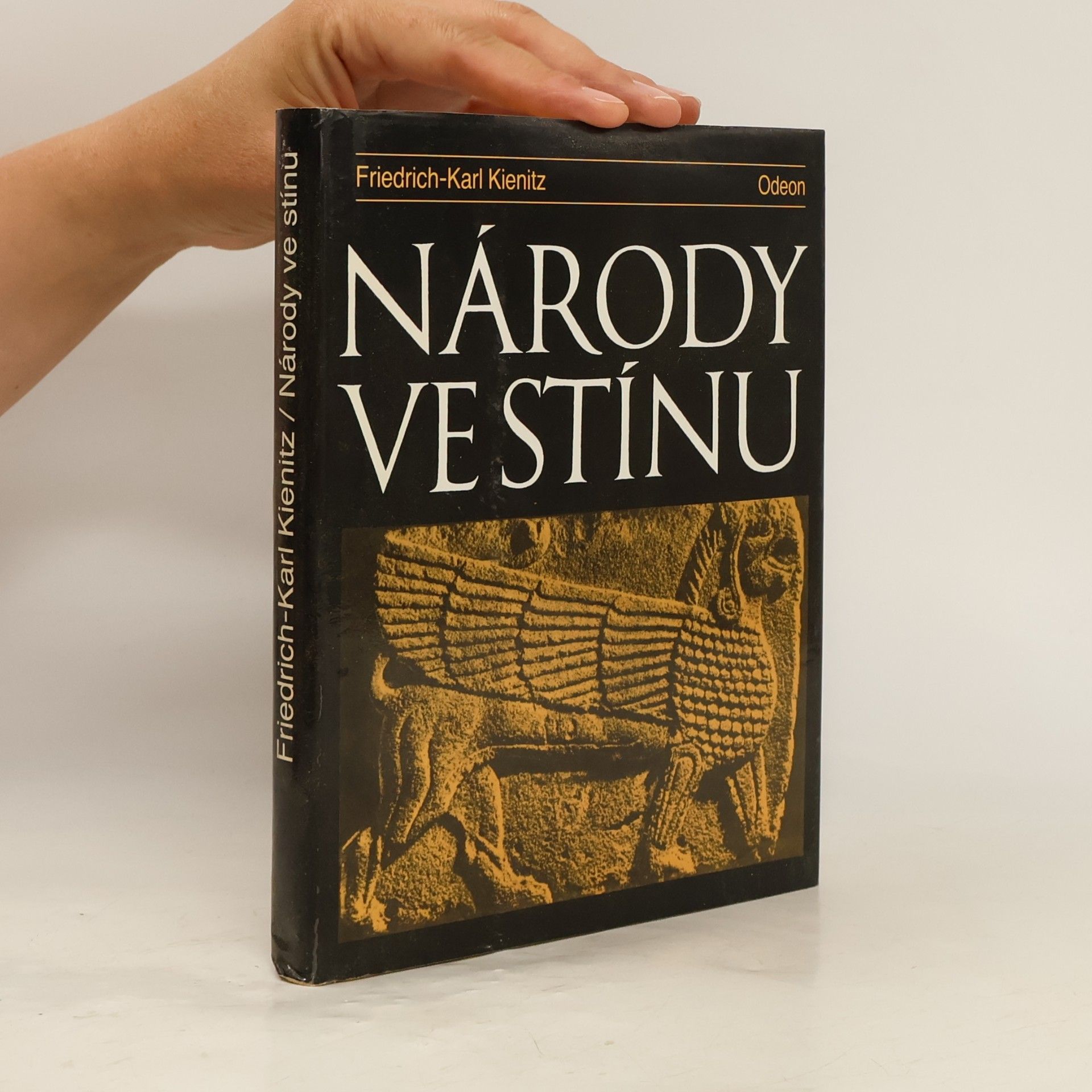 Friedrich Karl Kienitz Národy ve stínu