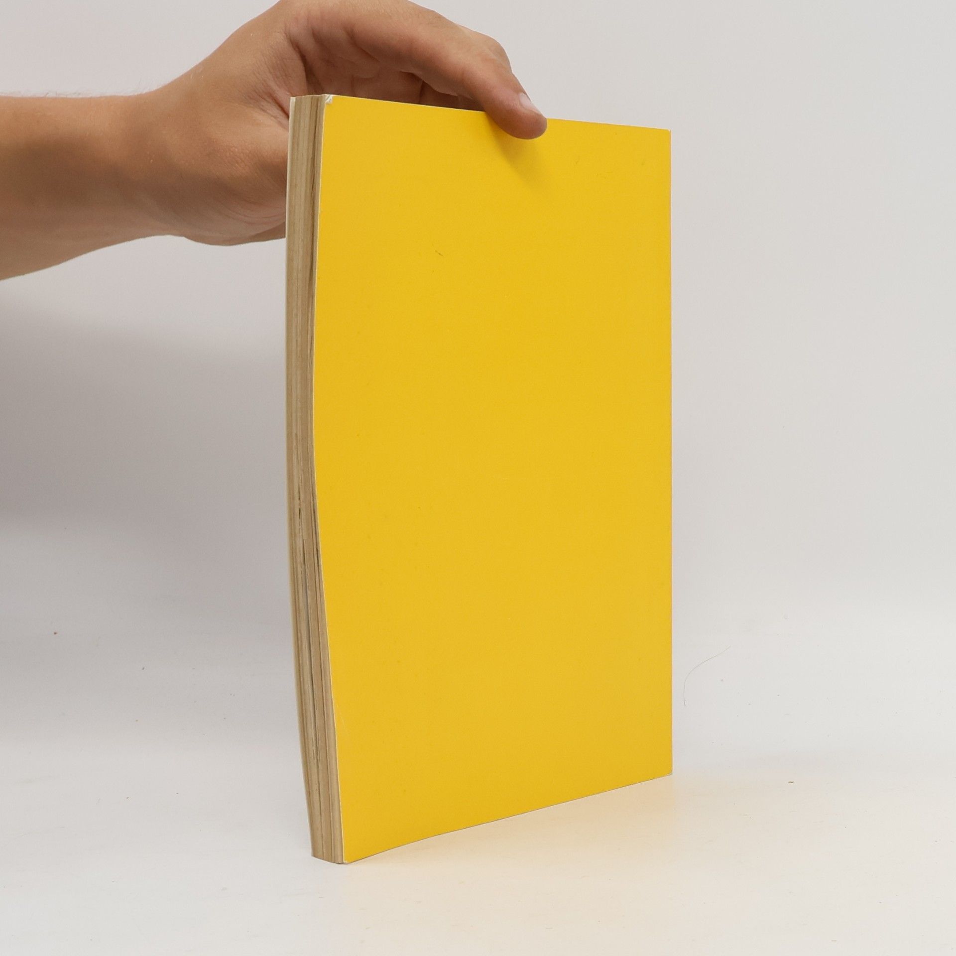 Autorenkollektiv Gneisenau. Ausgewählte Briefe und Schriften