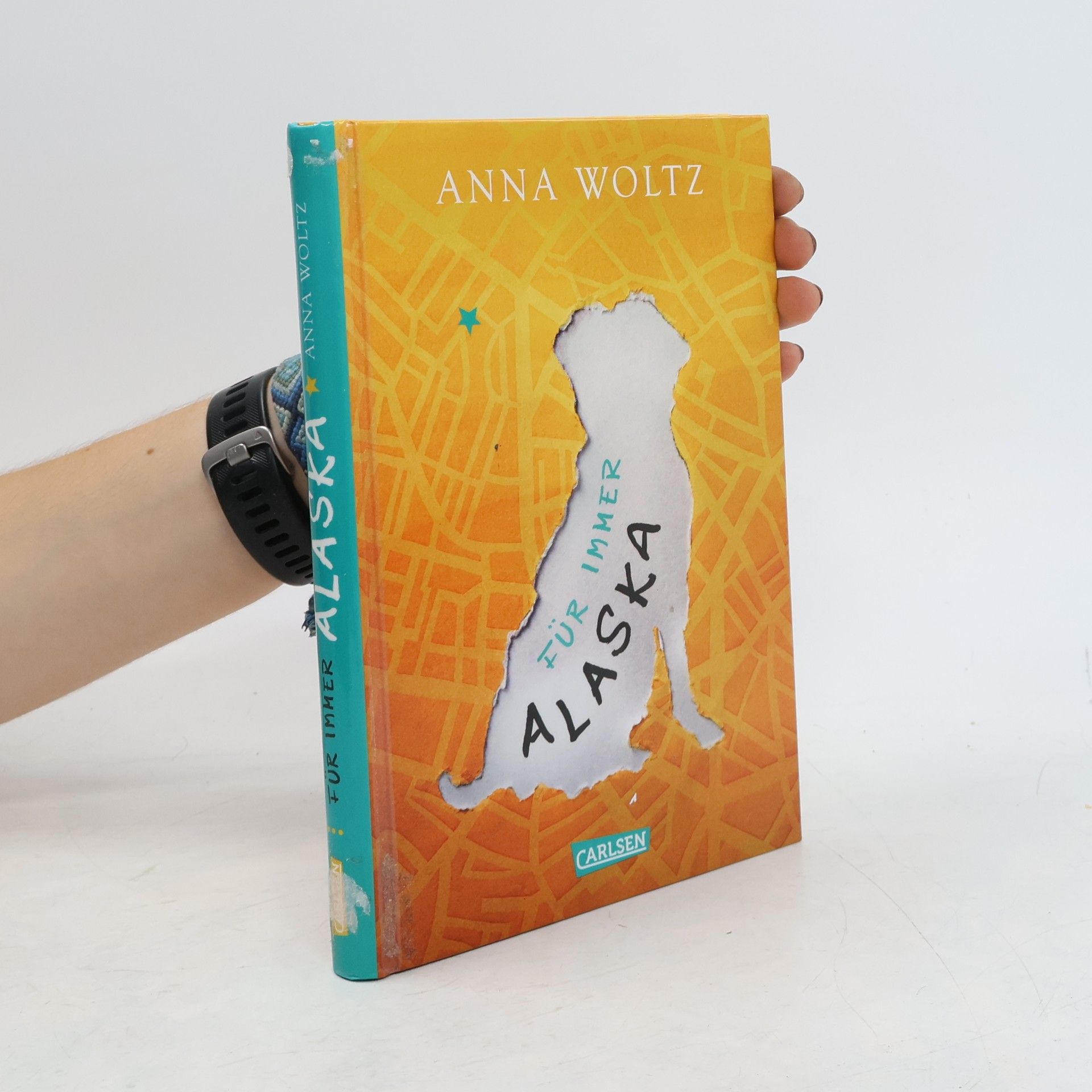 Anna Woltz Für immer Alaska