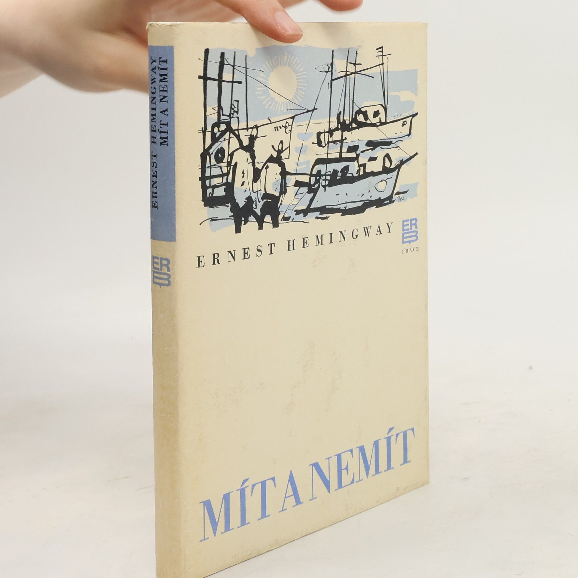 Ernest Hemingway Mít a nemít
