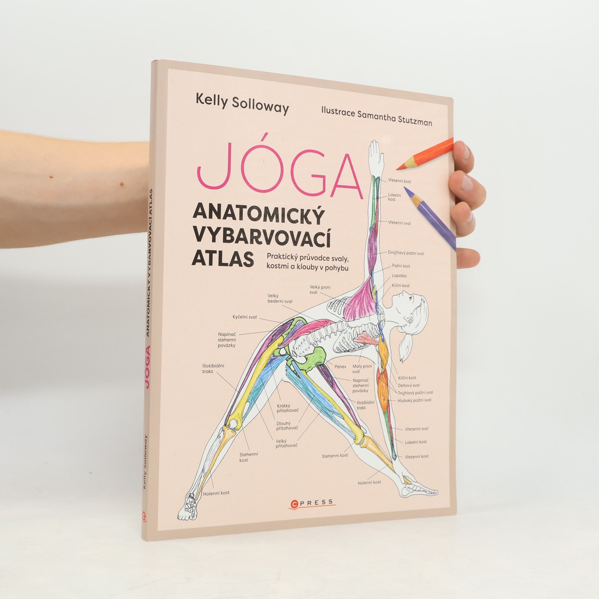 Kateřina Trenzová Jóga. Anatomický vybarvovací atlas. Praktický průvodce svaly, kostmi a klouby v pohybu