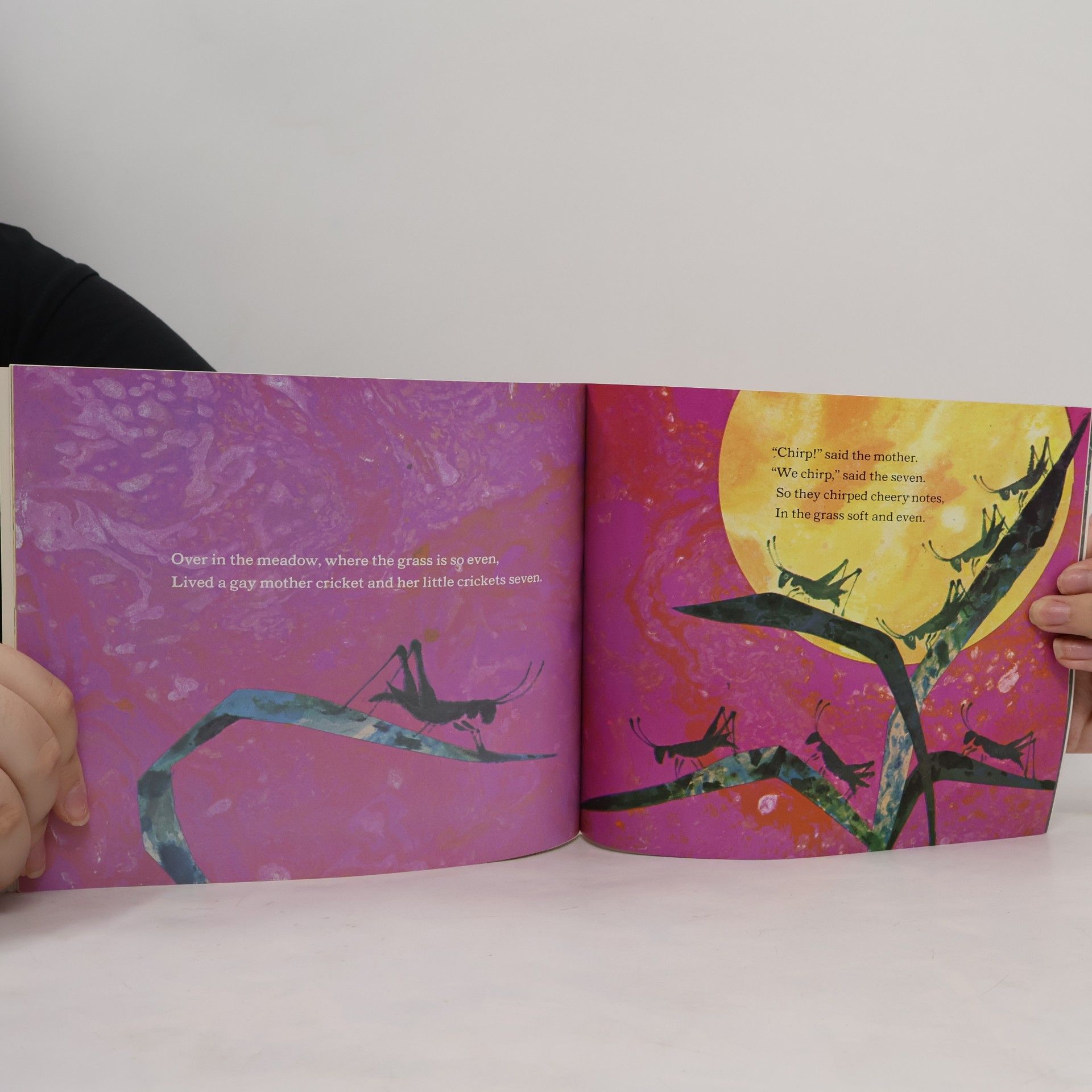 Ezra Jack Keats Over in the Meadow