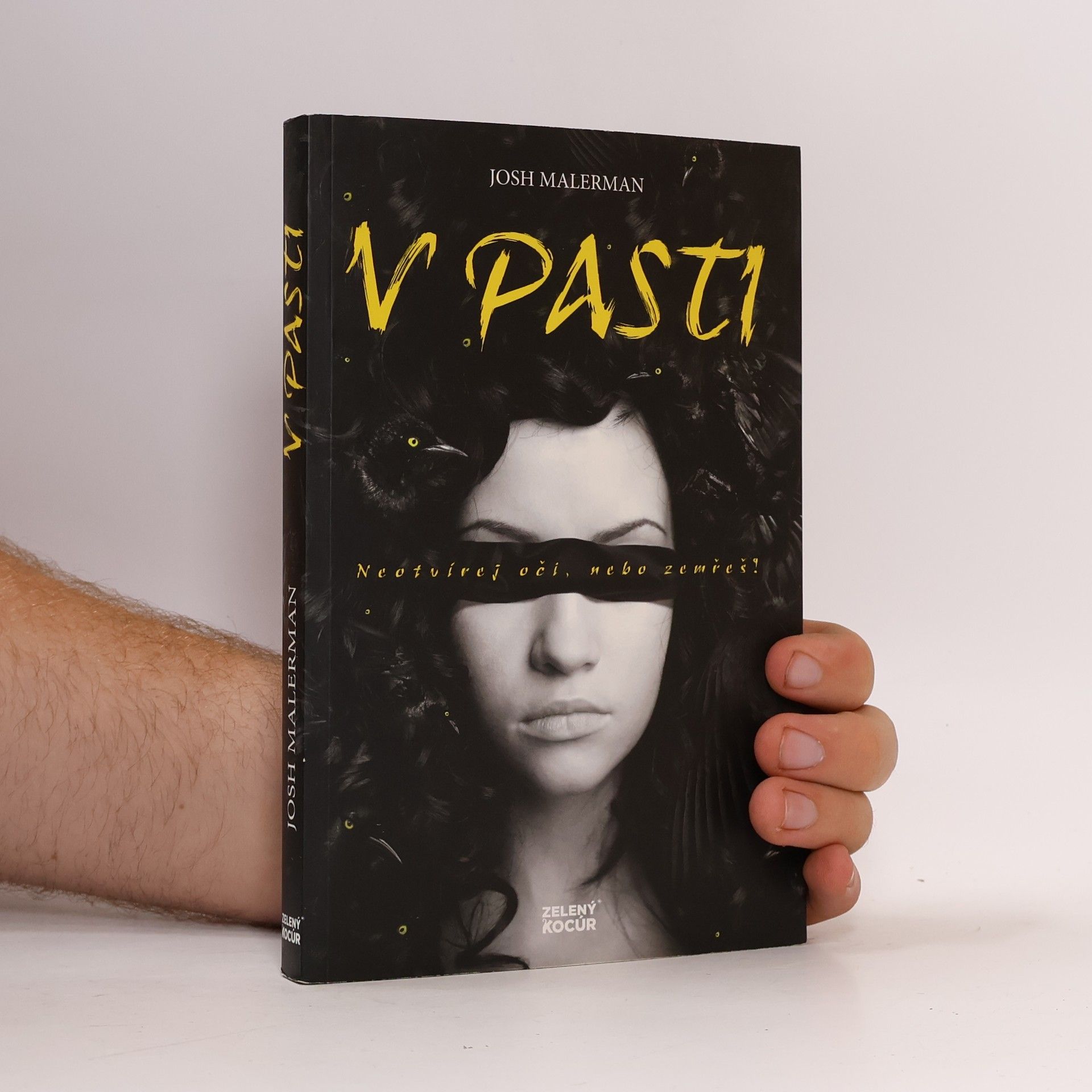 Josh Malerman V pasti