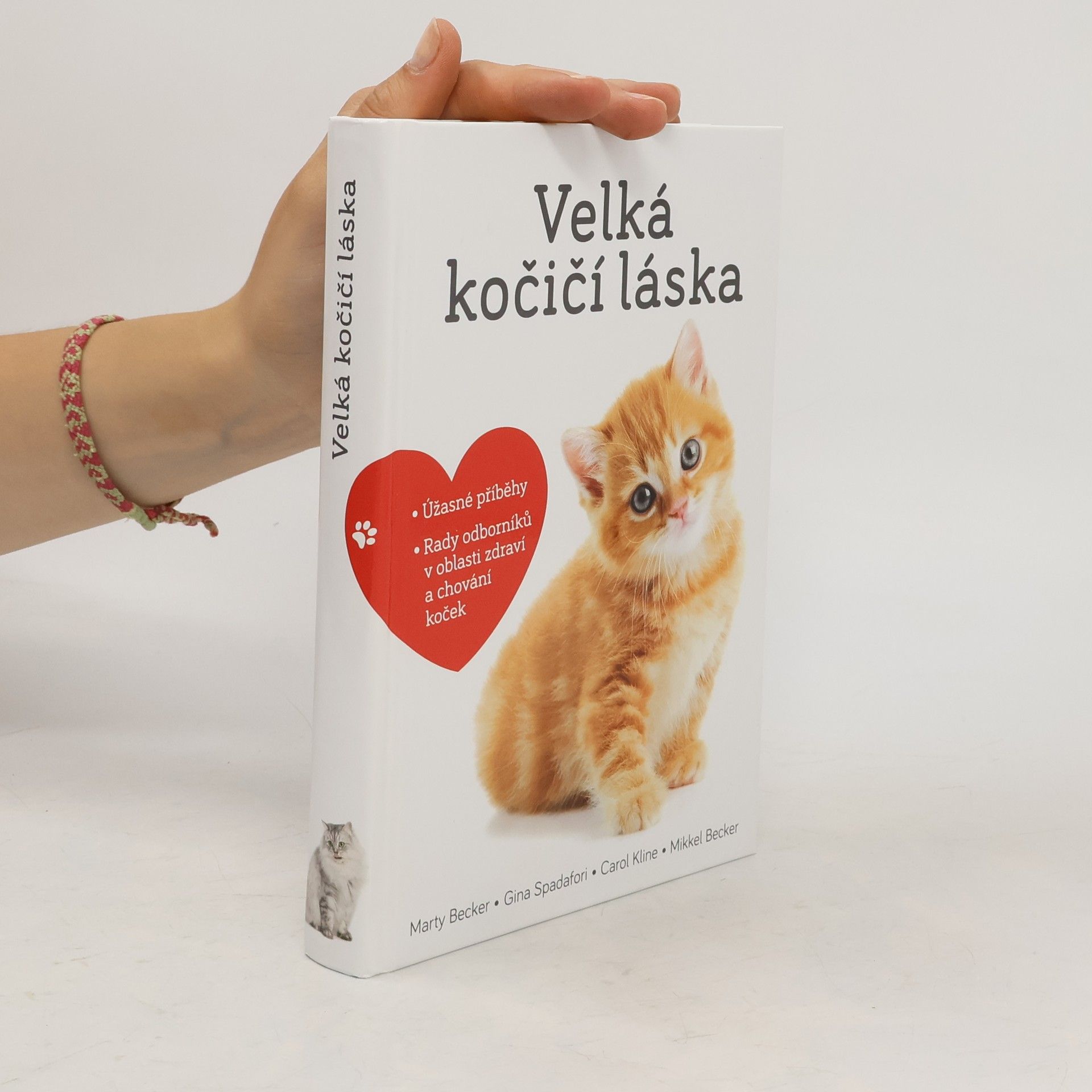 Velká kočičí láska