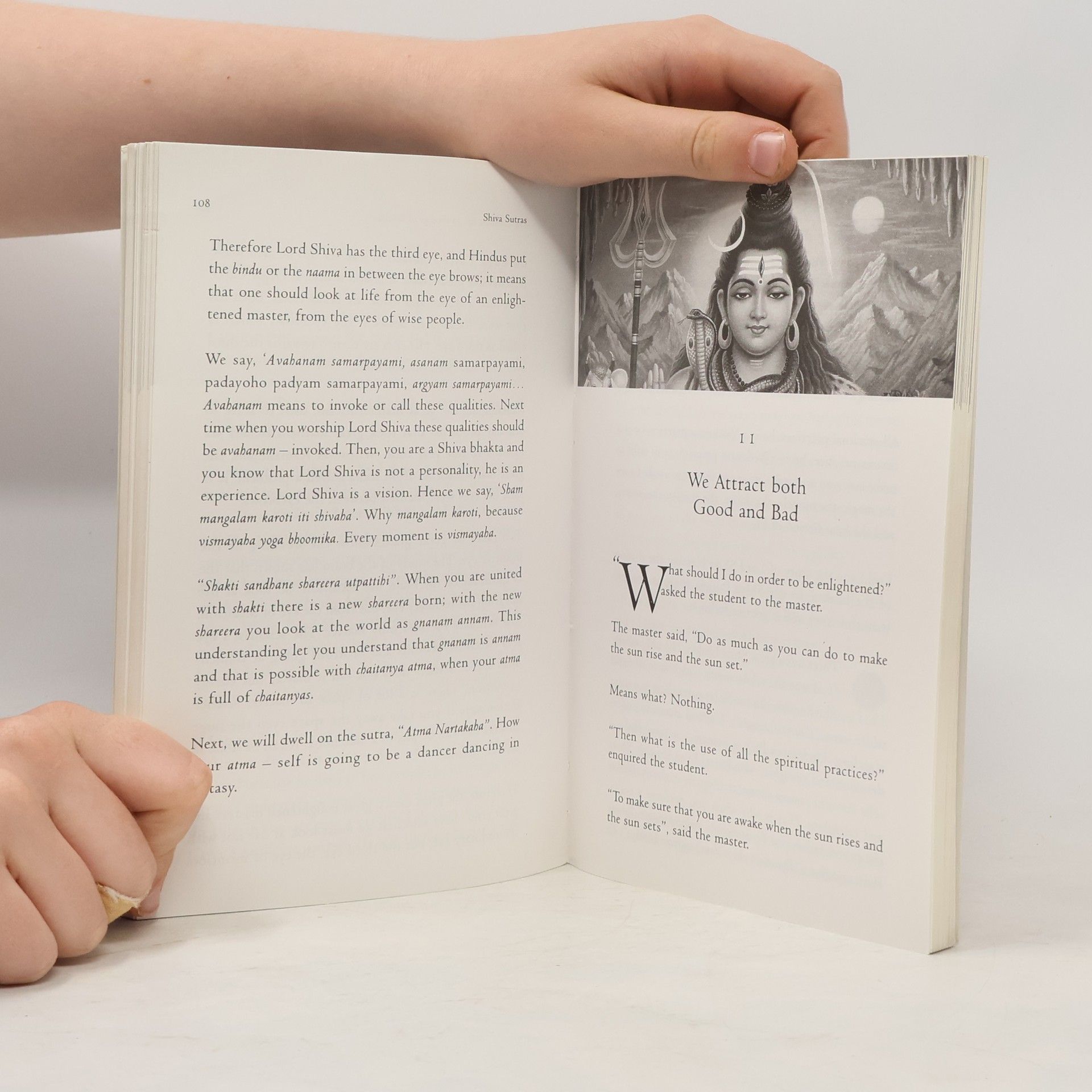 Swami Sukhabodhananda Shiva Sutras
