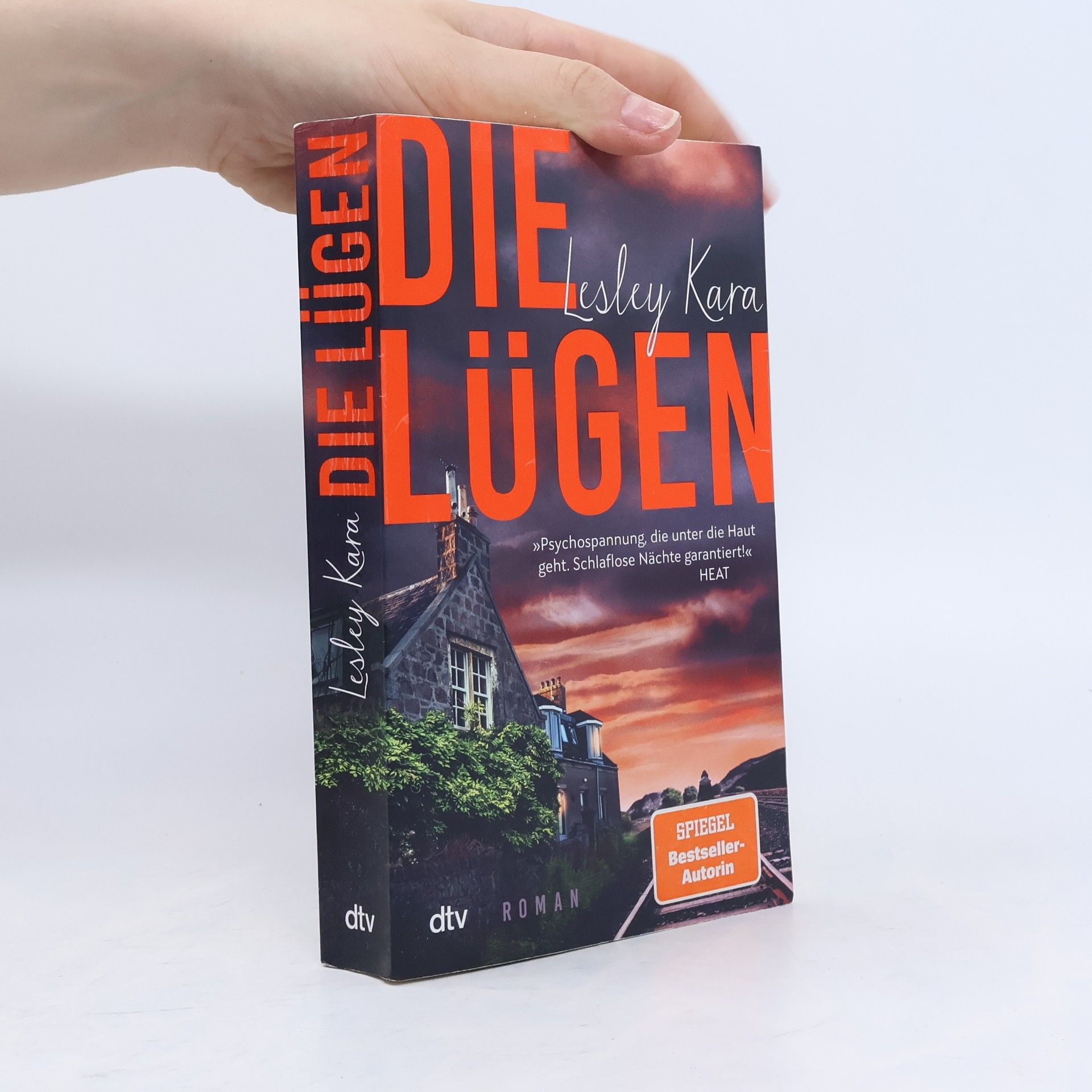 Lesley Kara Die Lügen