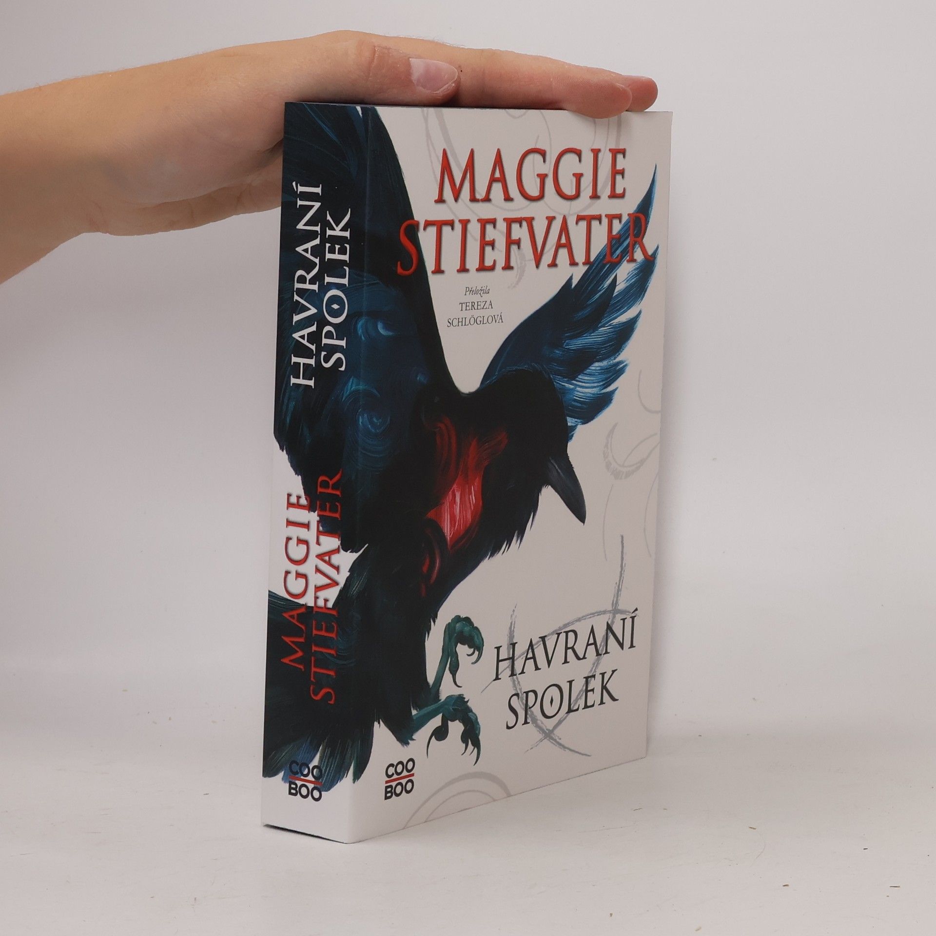 Maggie Stiefvater Havraní spolek