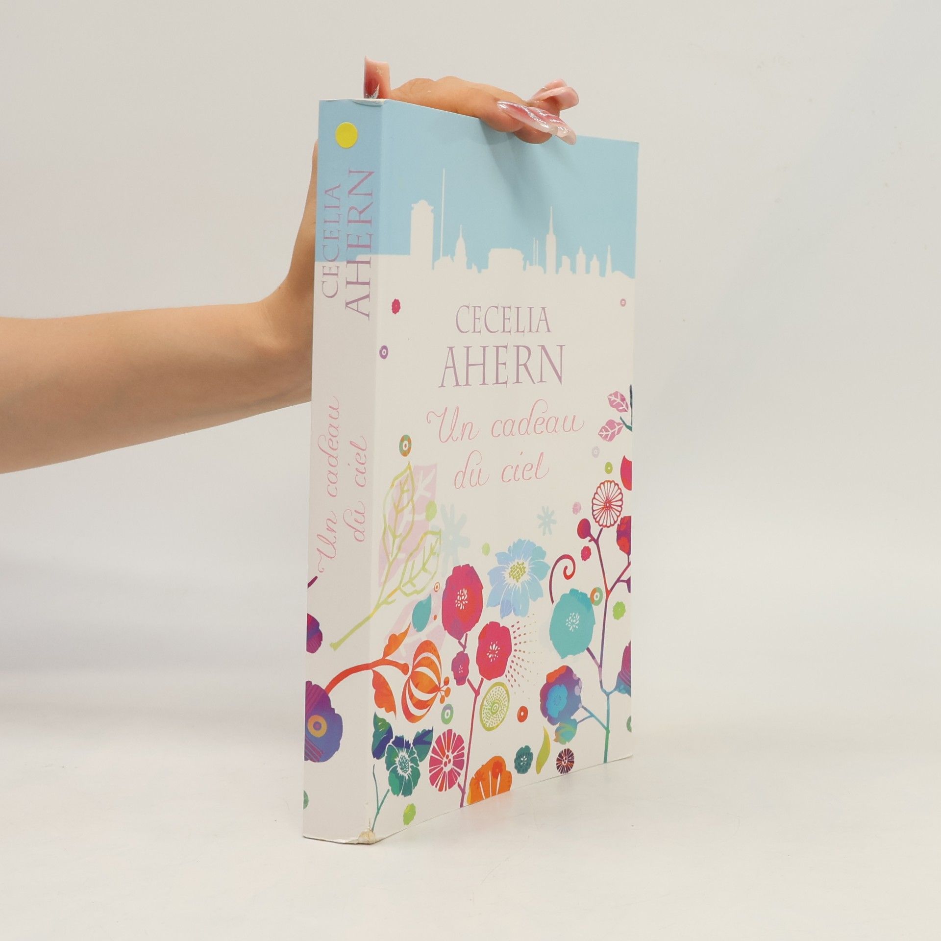 Cecelia Ahern Un cadeau du ciel