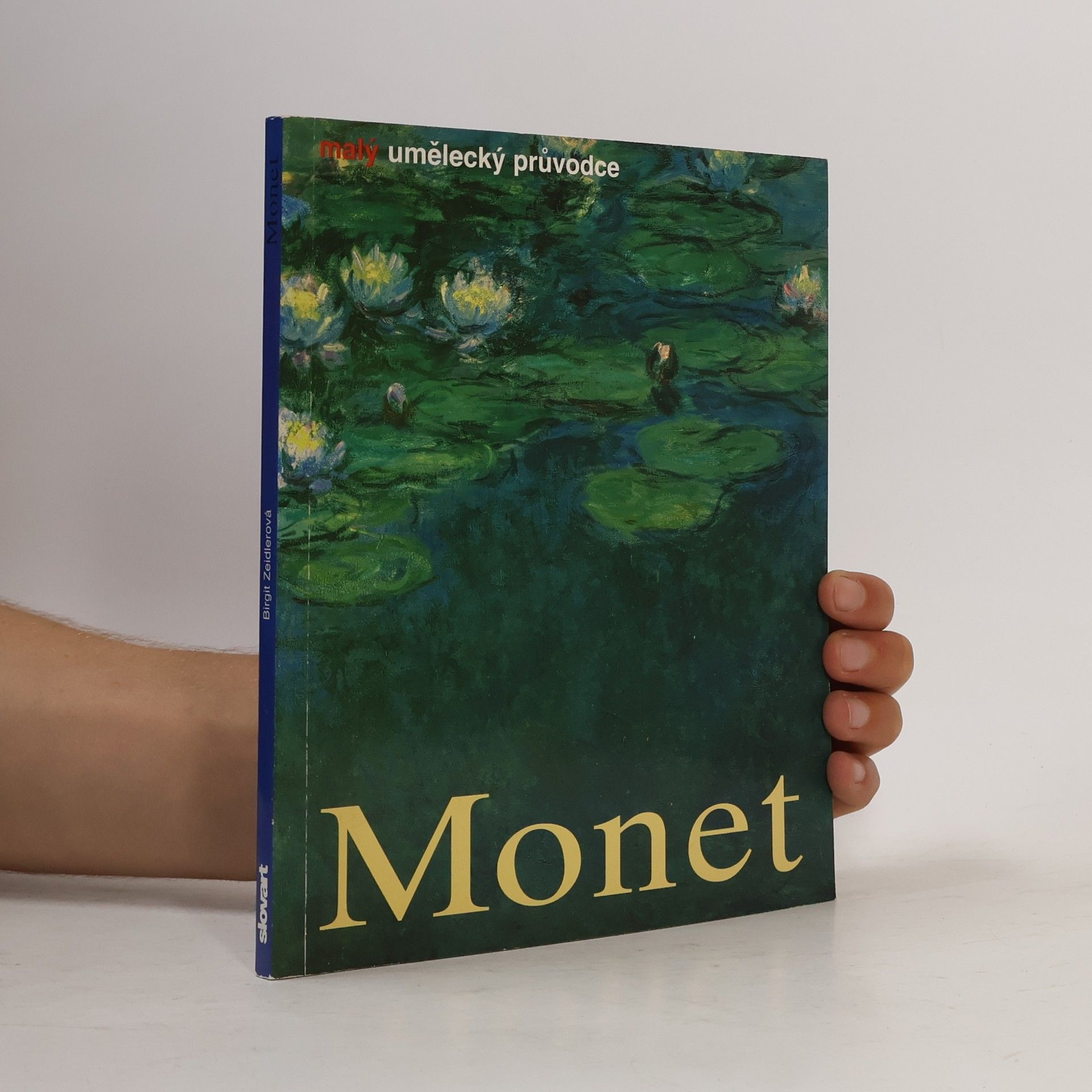 Birgit Zeidler Monet