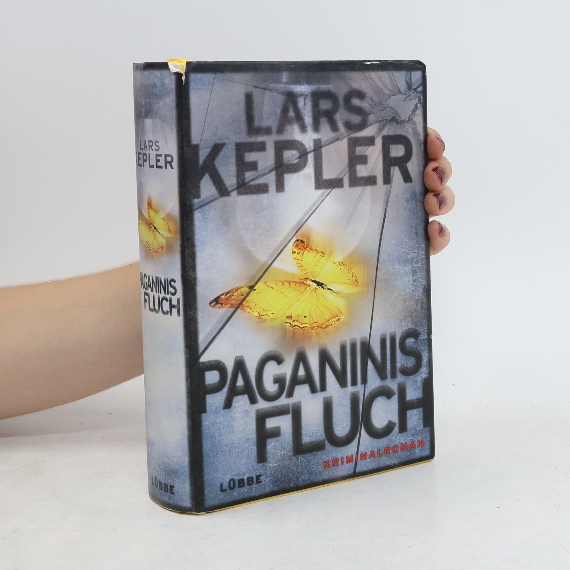 Lars Kepler Paganinis Fluch