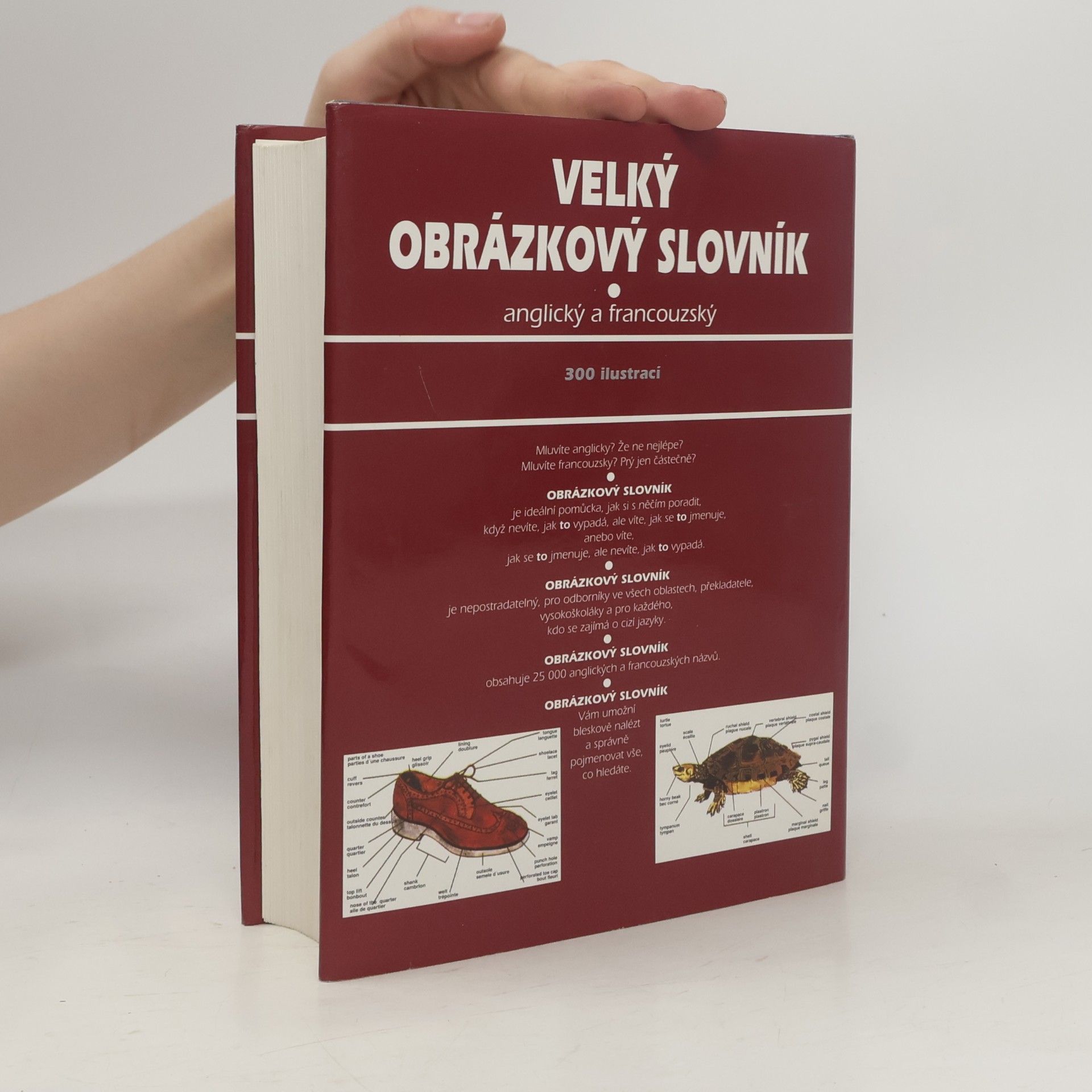 Ariane Archambault Velký obrázkový slovník. Anglický a francouzský