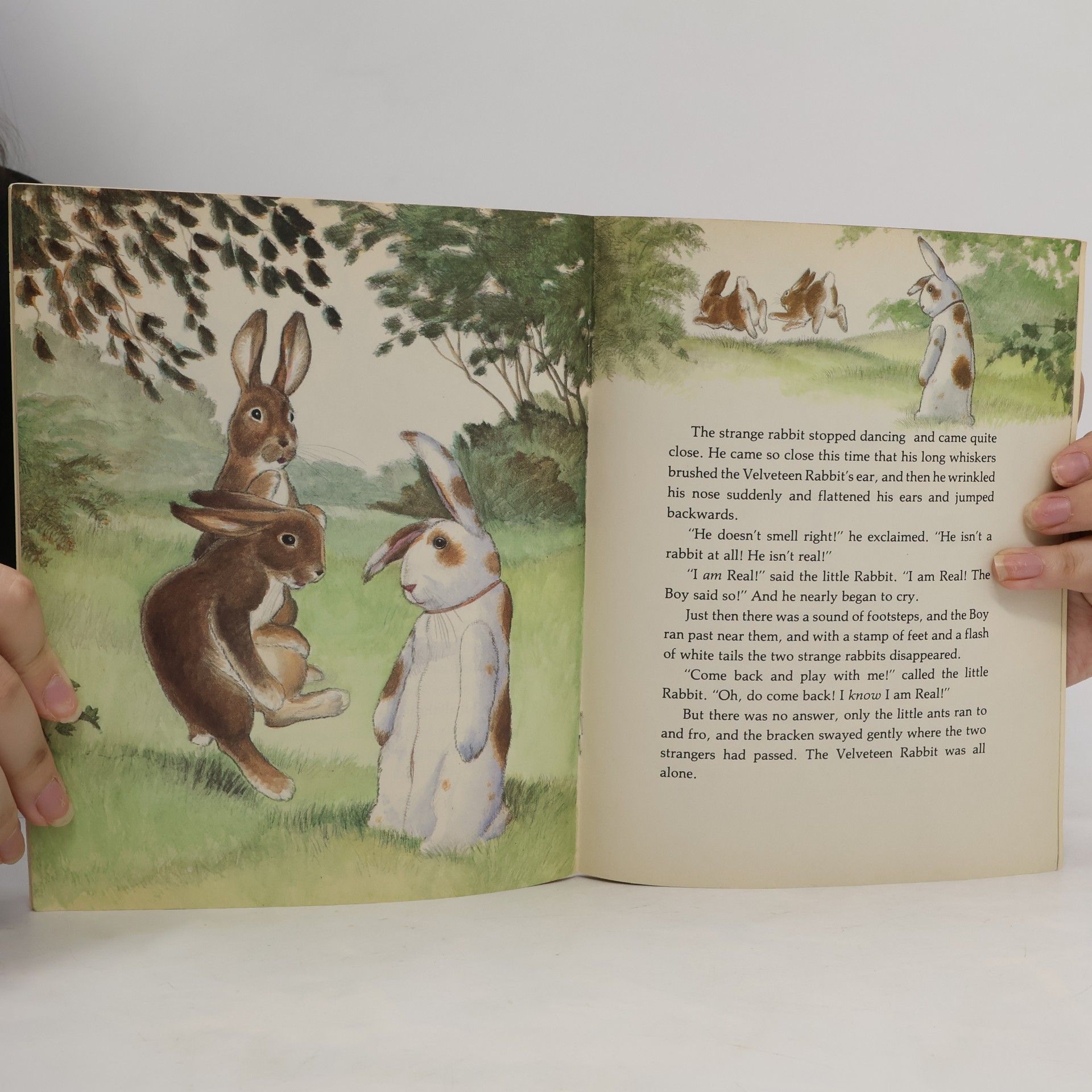 Margery Williams Bianco The Velveteen Rabbit