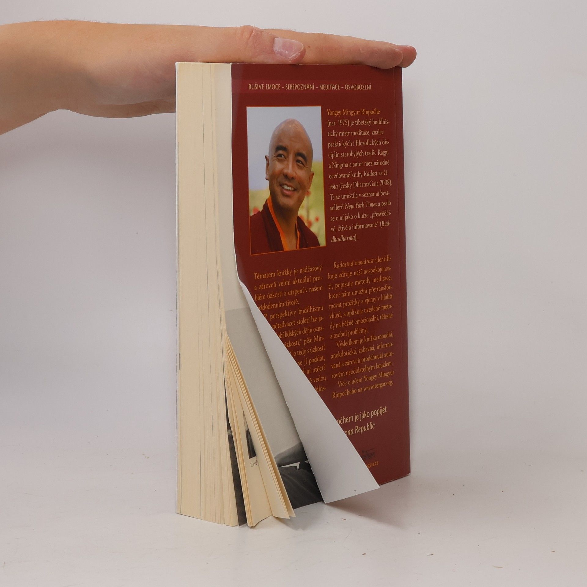 Yongey Mingyur Rinpoche Radostná moudrost