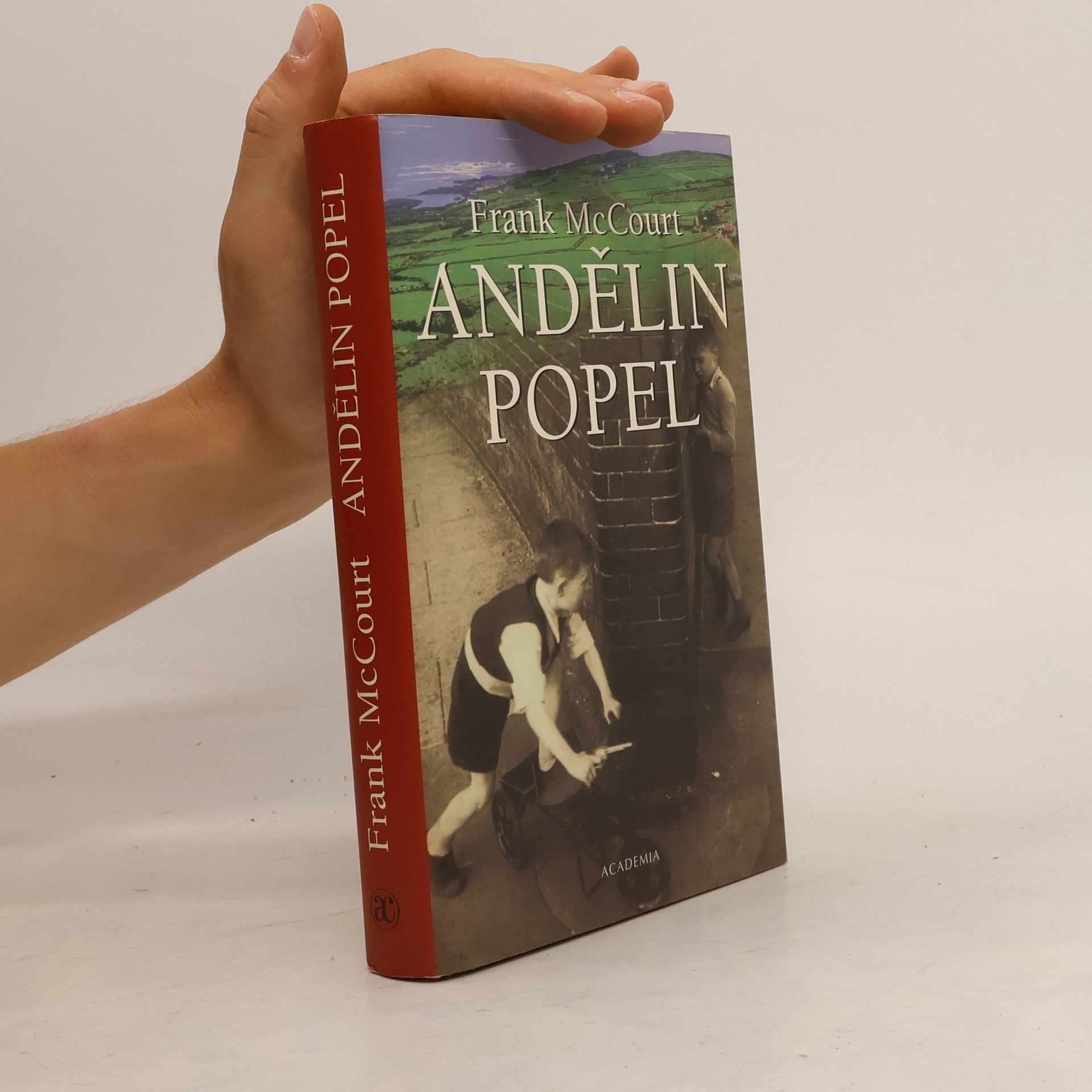 Frank McCourt Andělin popel
