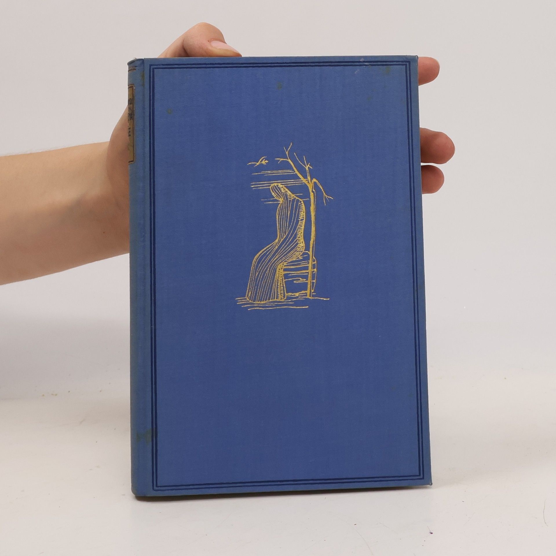 Romain Rolland Okouzlená duše VII. Zvěstovatelka