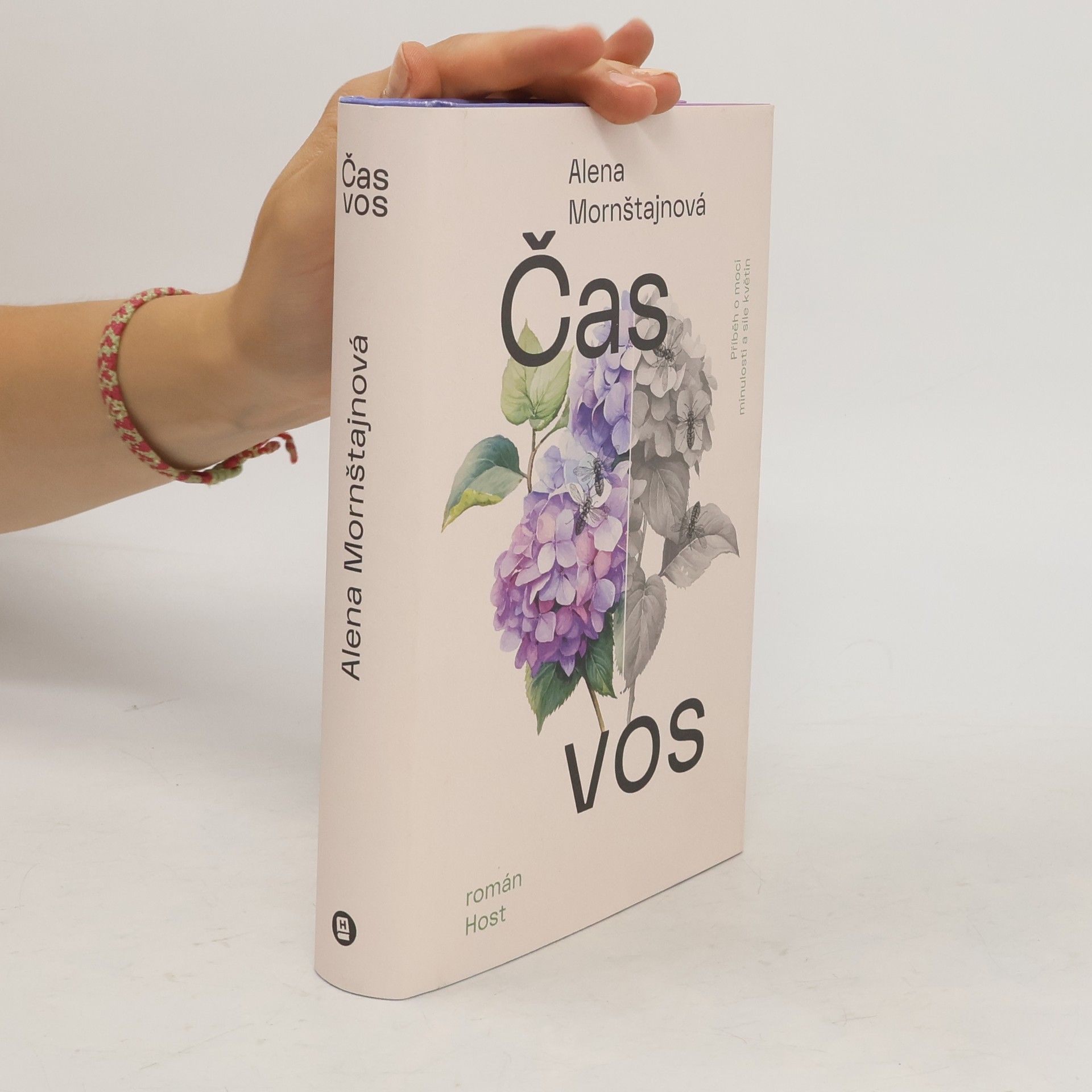 Alena Mornštajnová Čas vos