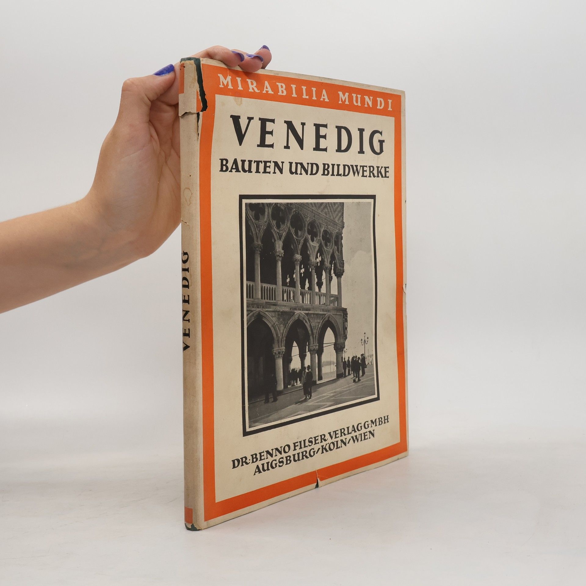 Samuel Guyer Venedig, Bauten und Bildwerke : mit einem kunstgeschichtlichen Abriss und 104 Bildertafeln