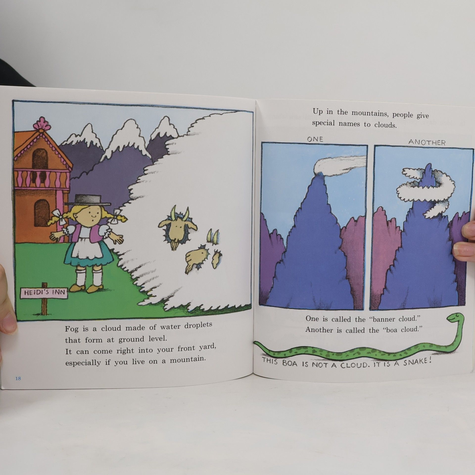 Tomie de Paola The Cloud Book