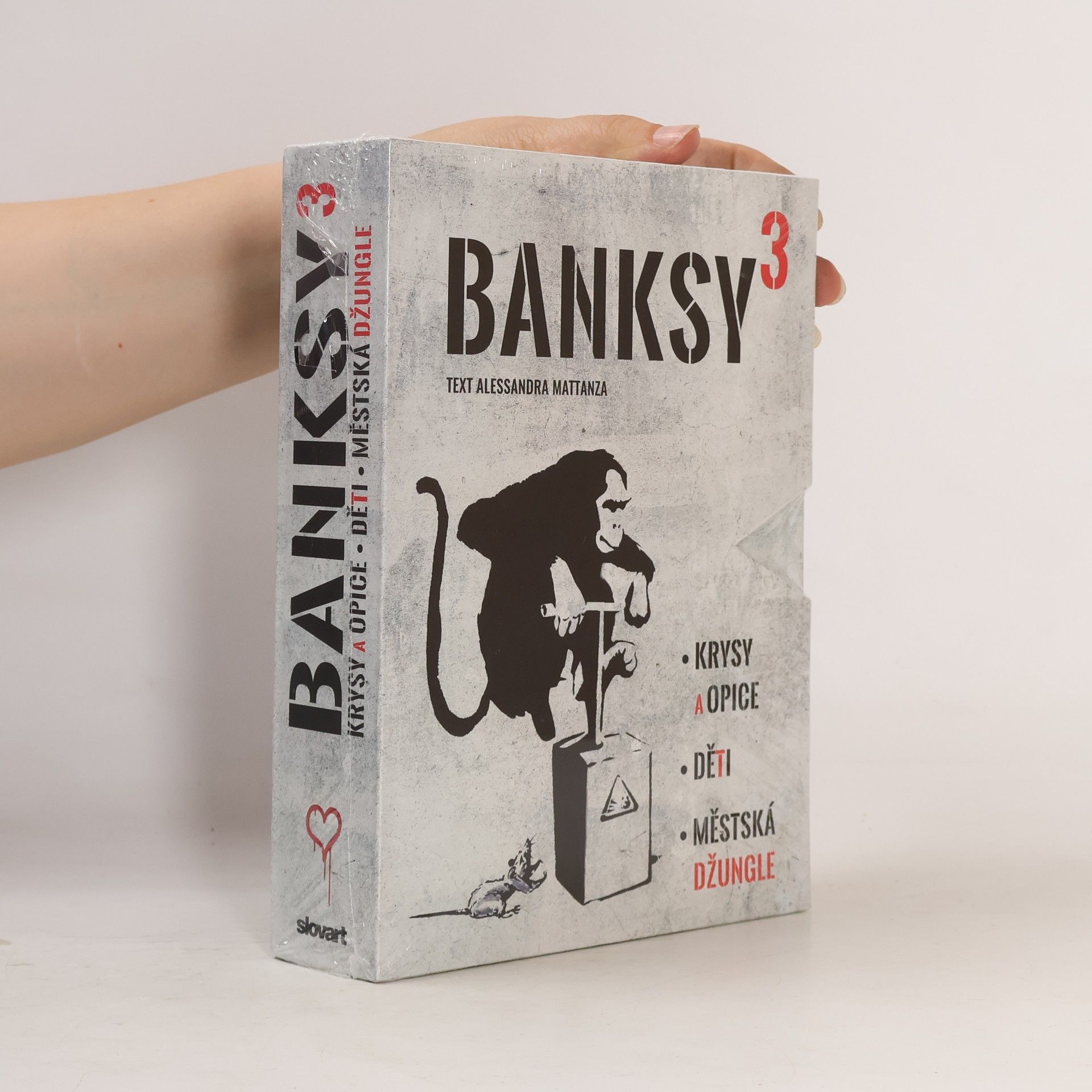 Alessandra Mattanza Banksy 3