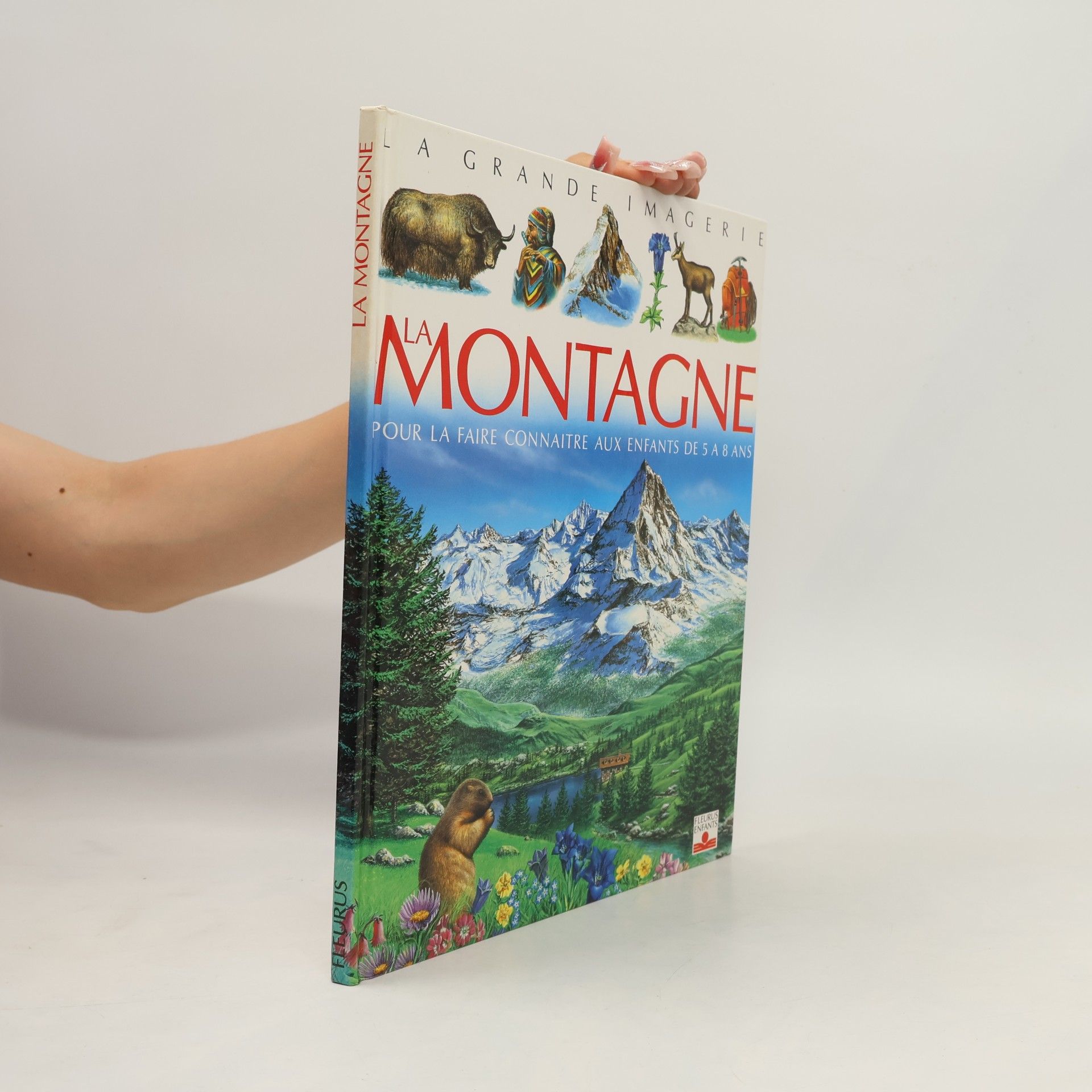 Vincent Jagerschmidt Montagne