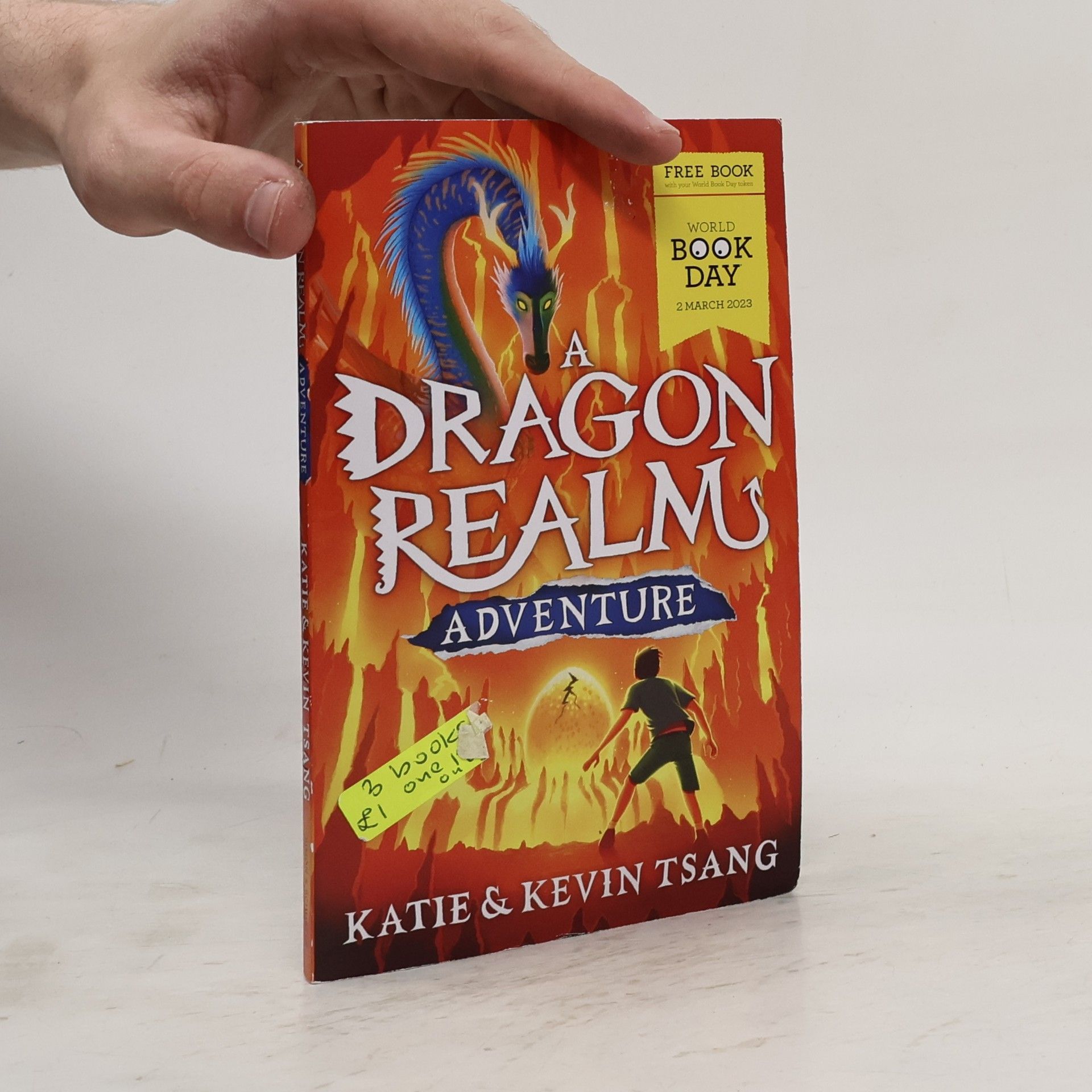 A Dragon Realm Adventure