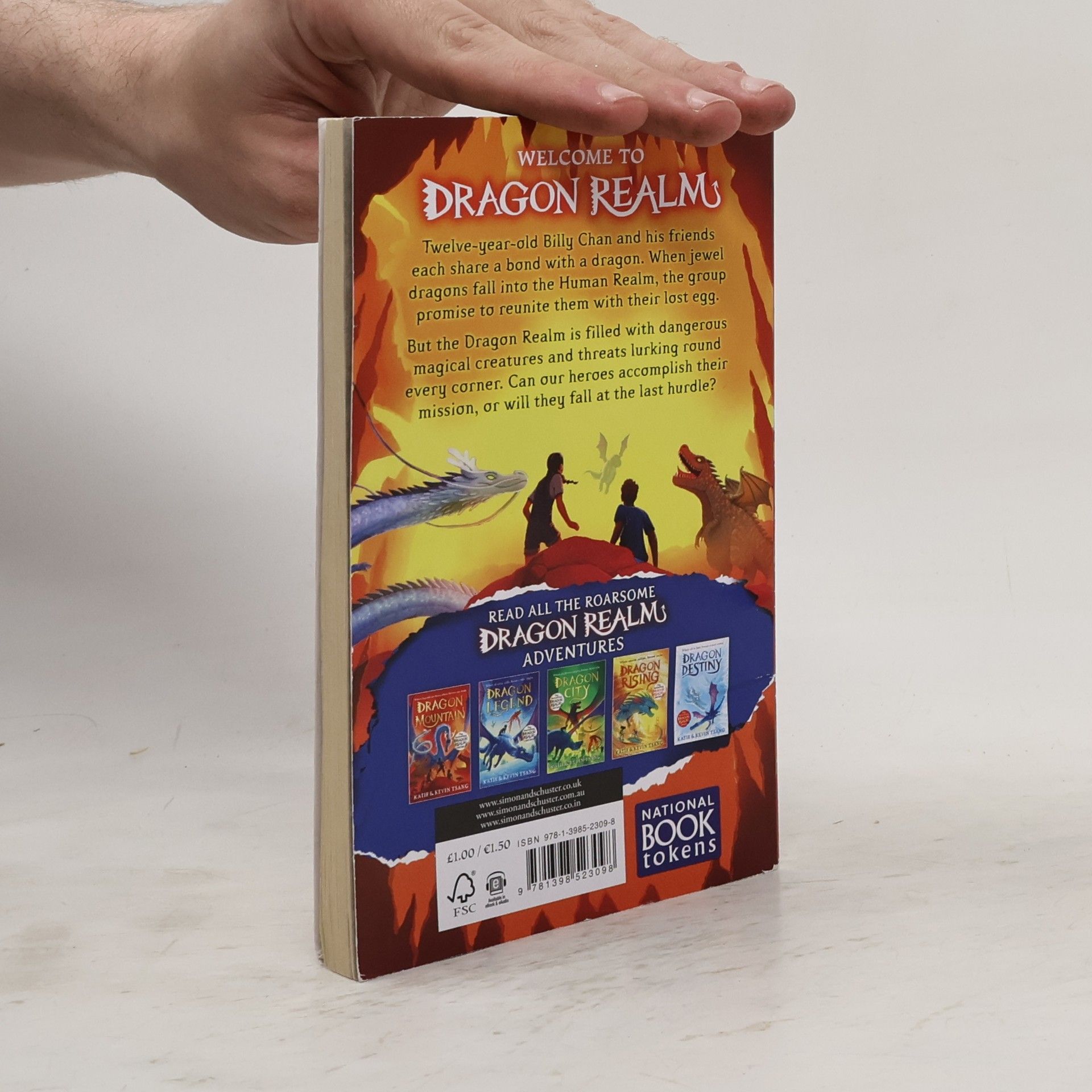 Katie Tsang A Dragon Realm Adventure