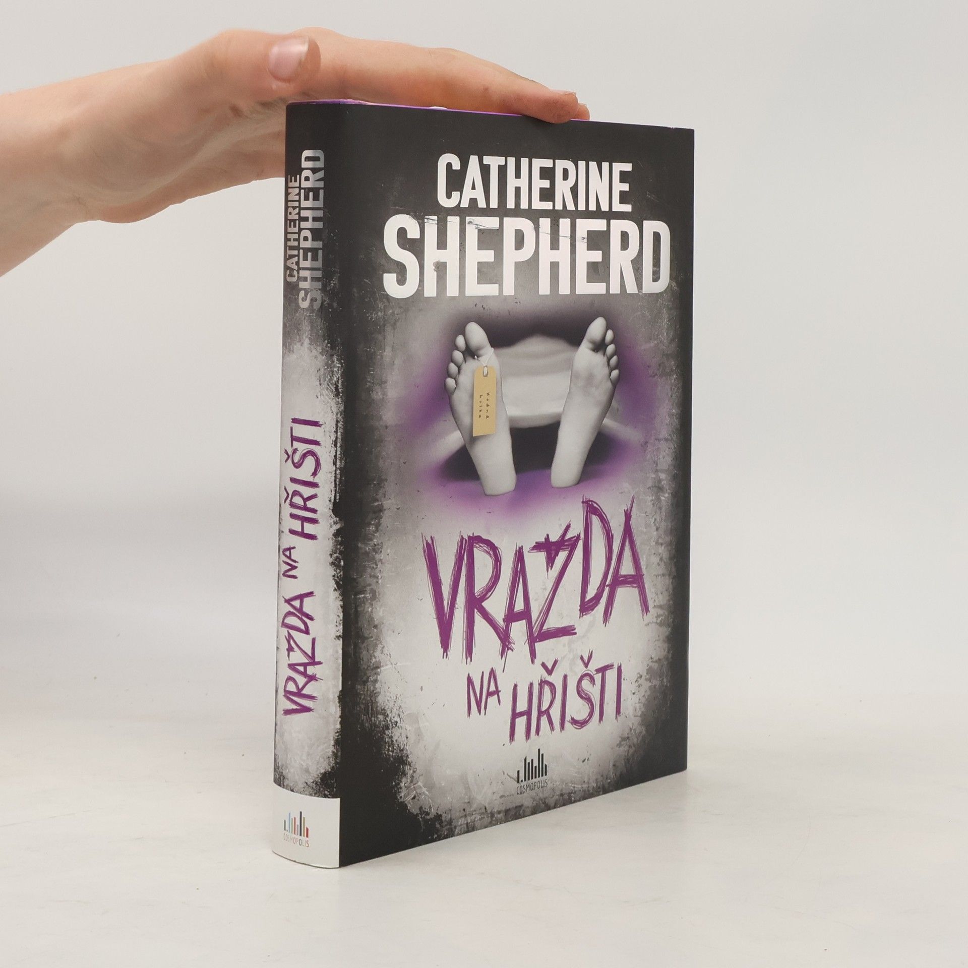 Catherine Shepherd Vražda na hřišti