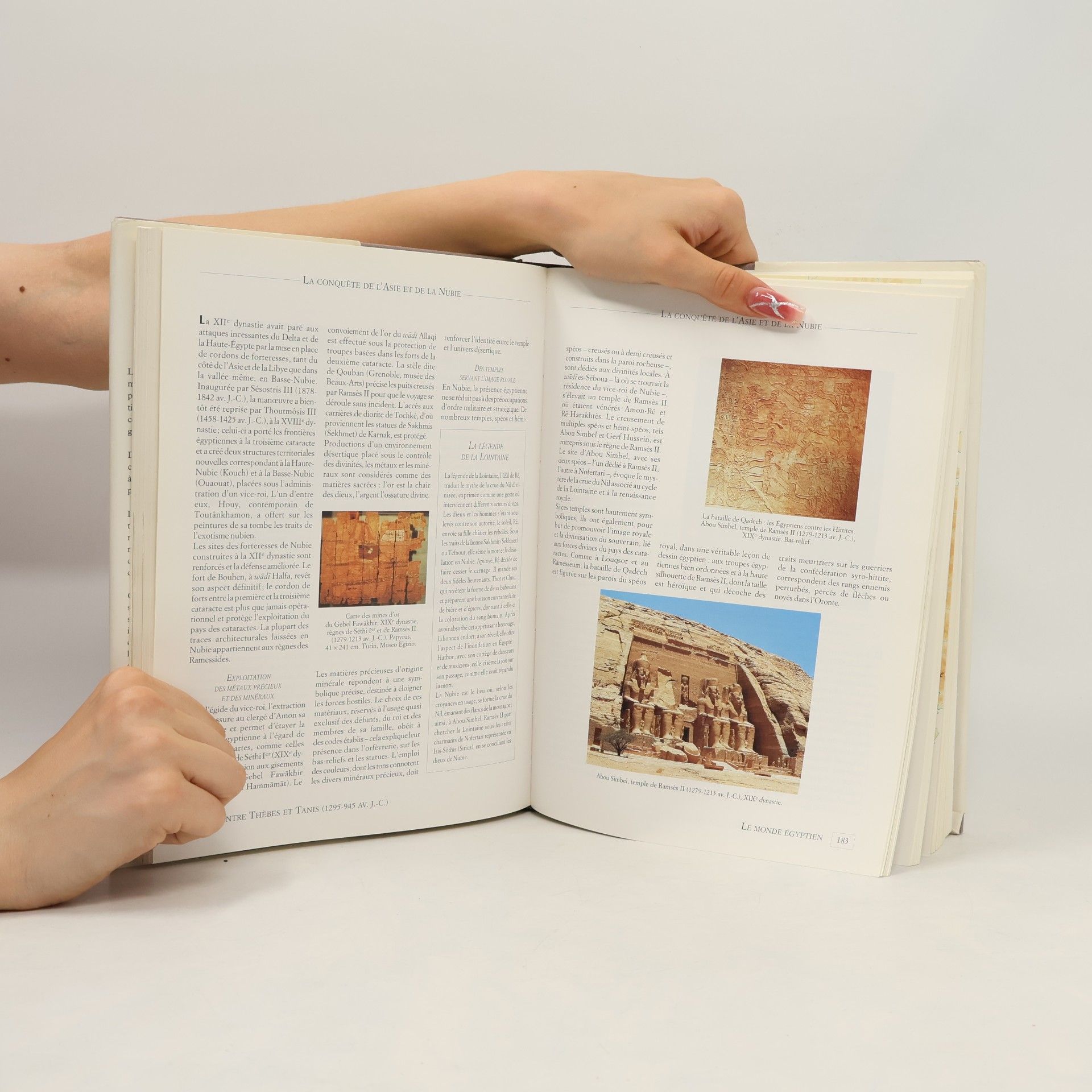 Alain Schnapp Histoire de l'Art. Préhistoire et Antiquité