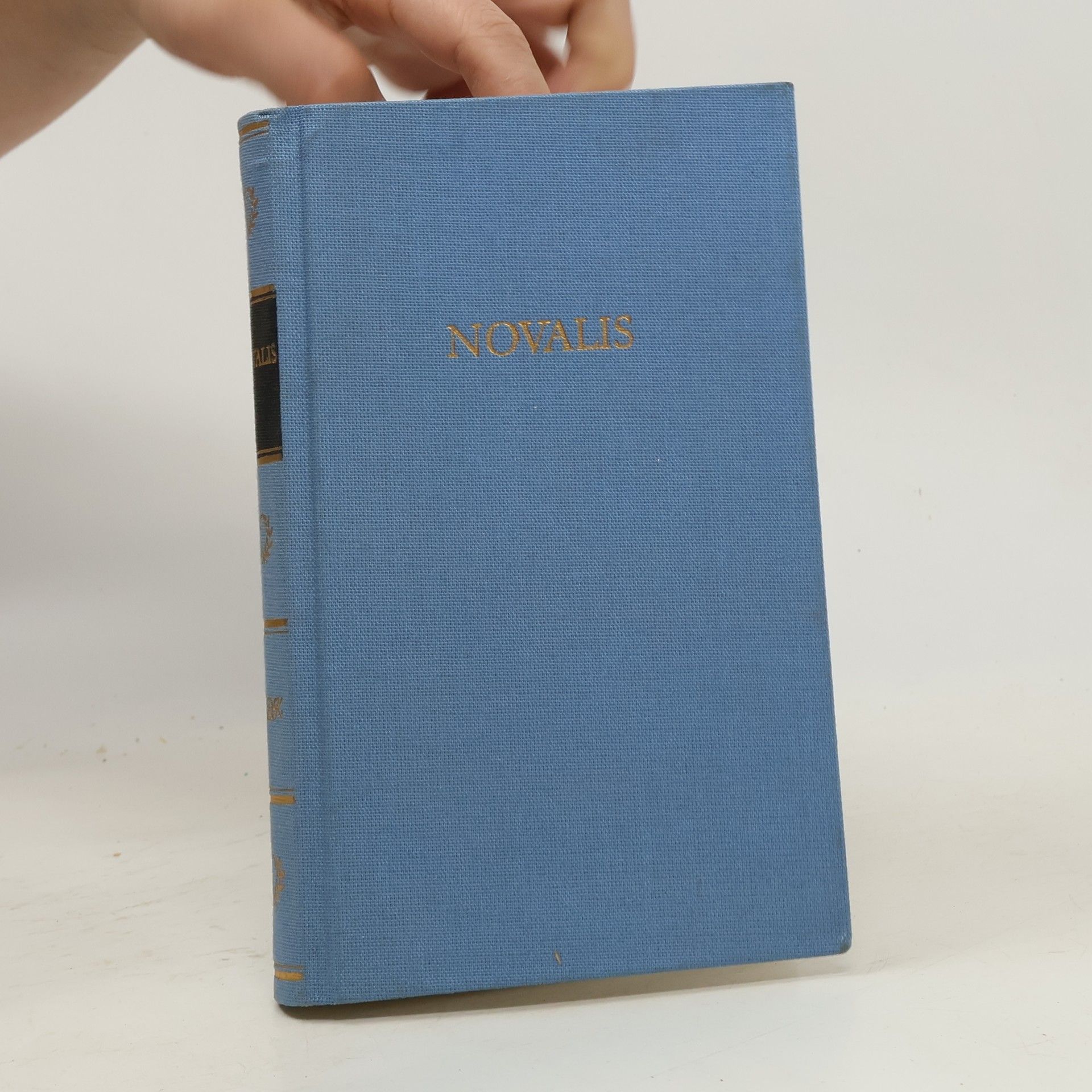 Novalis Novalis. Werke in einem Band