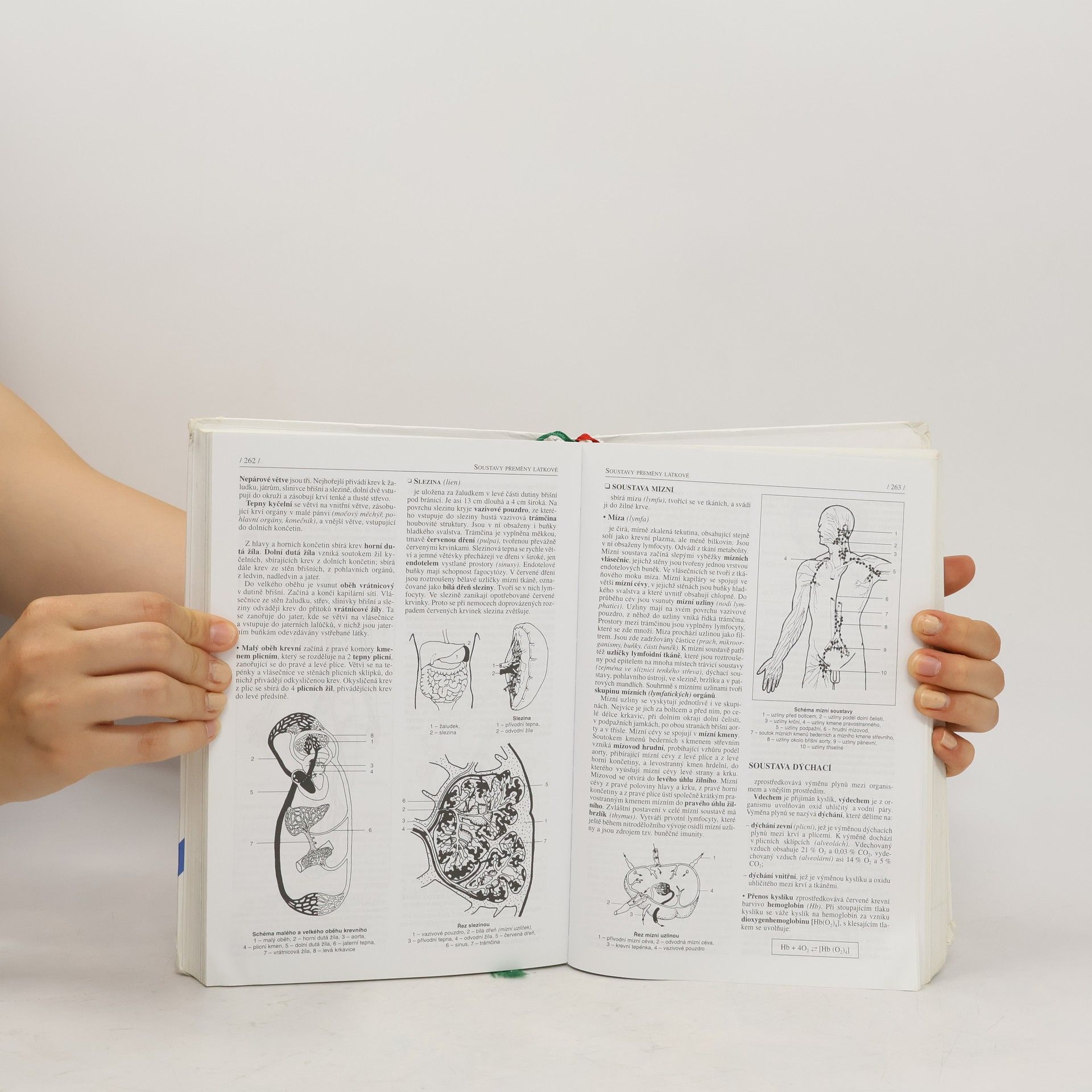 Jan Jelinek Biologie pro gymnázia