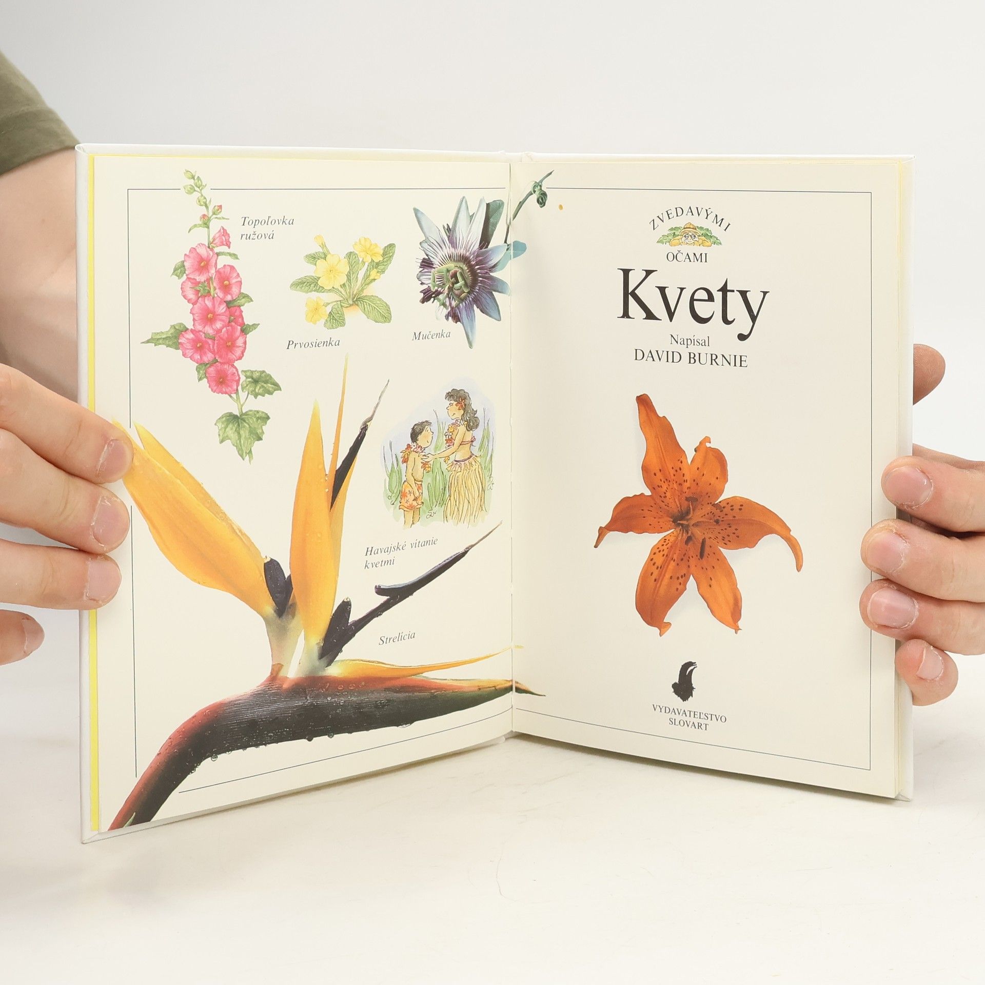 Autorenkollektiv Kvety