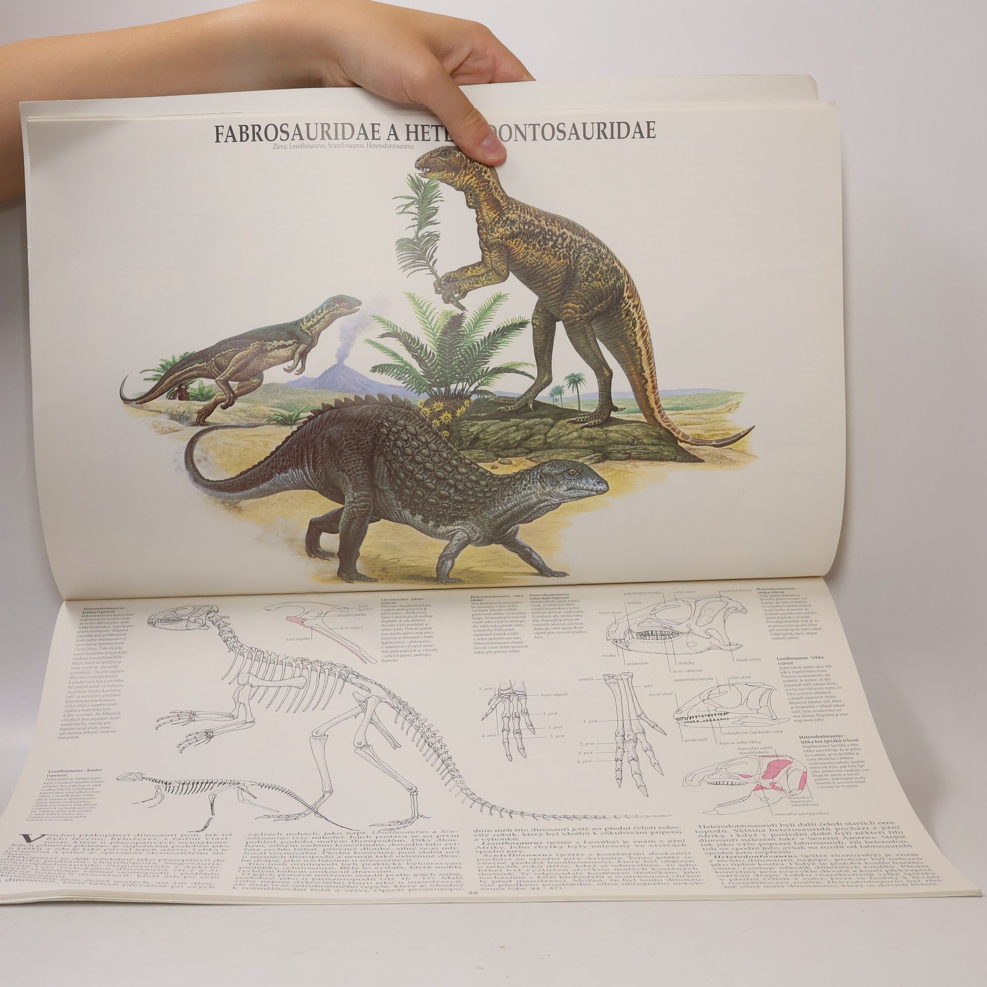 David B. Norman Velký obrazový atlas DINOSAUŘI