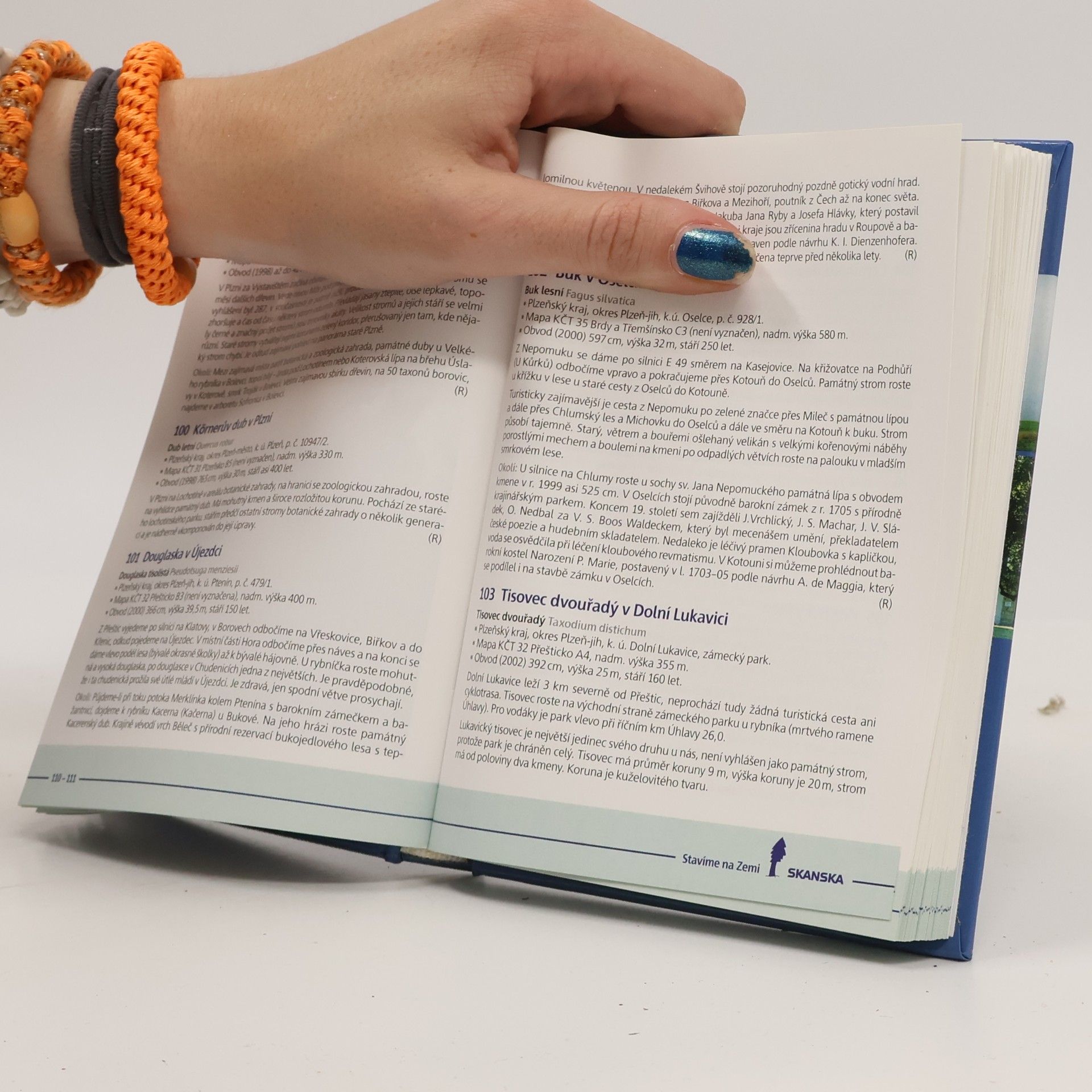 Autorenkollektiv Památné stromy. Objevujte krásy ČR se společností Skanska.