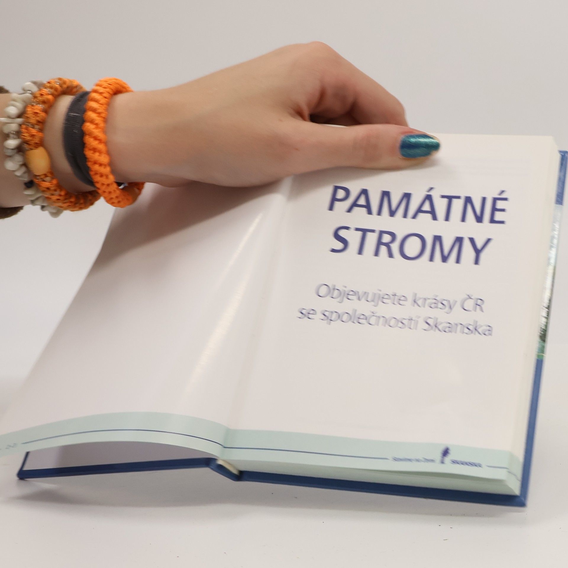 Autorenkollektiv Památné stromy. Objevujte krásy ČR se společností Skanska.