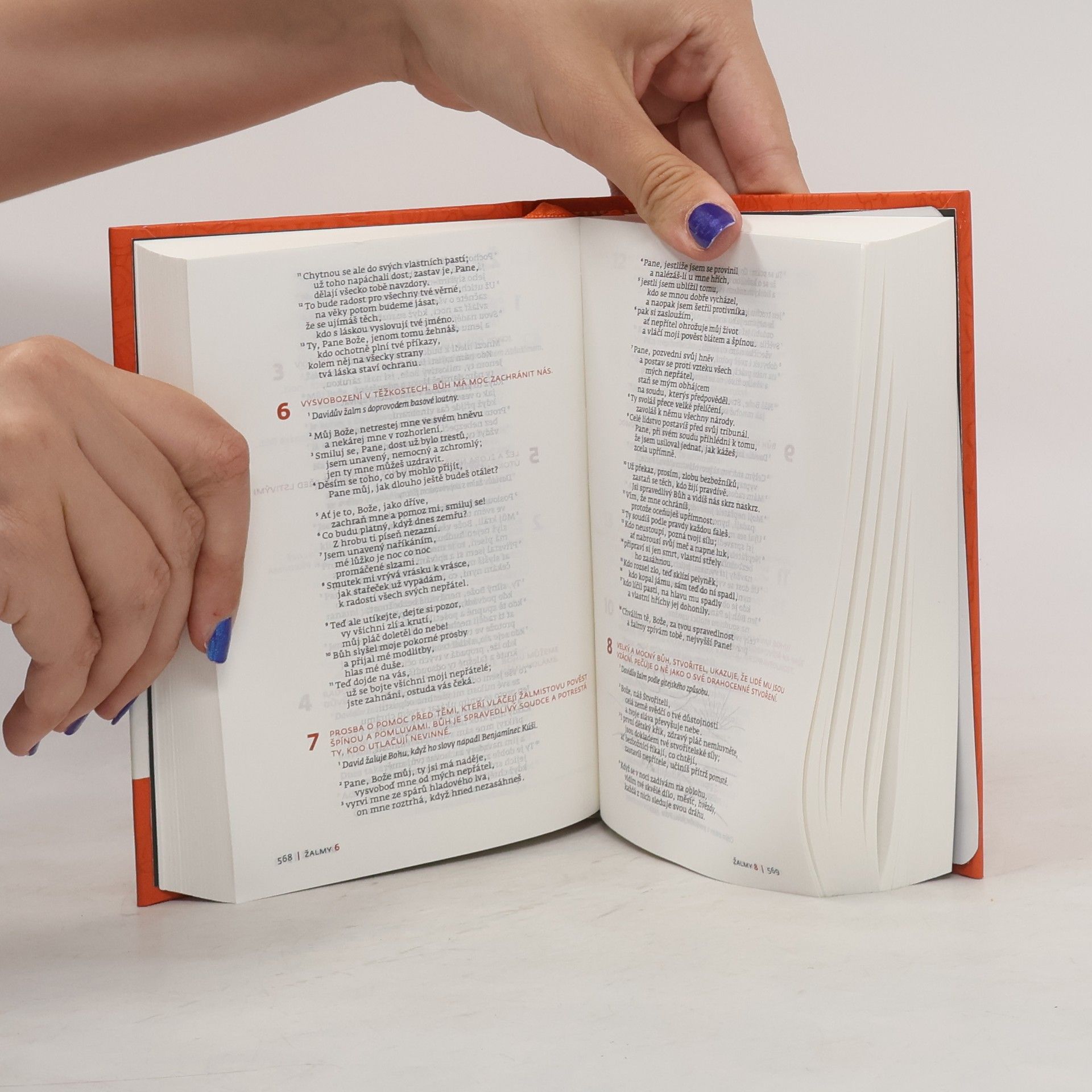 Autorenkollektiv Bible. Slovo na cestu