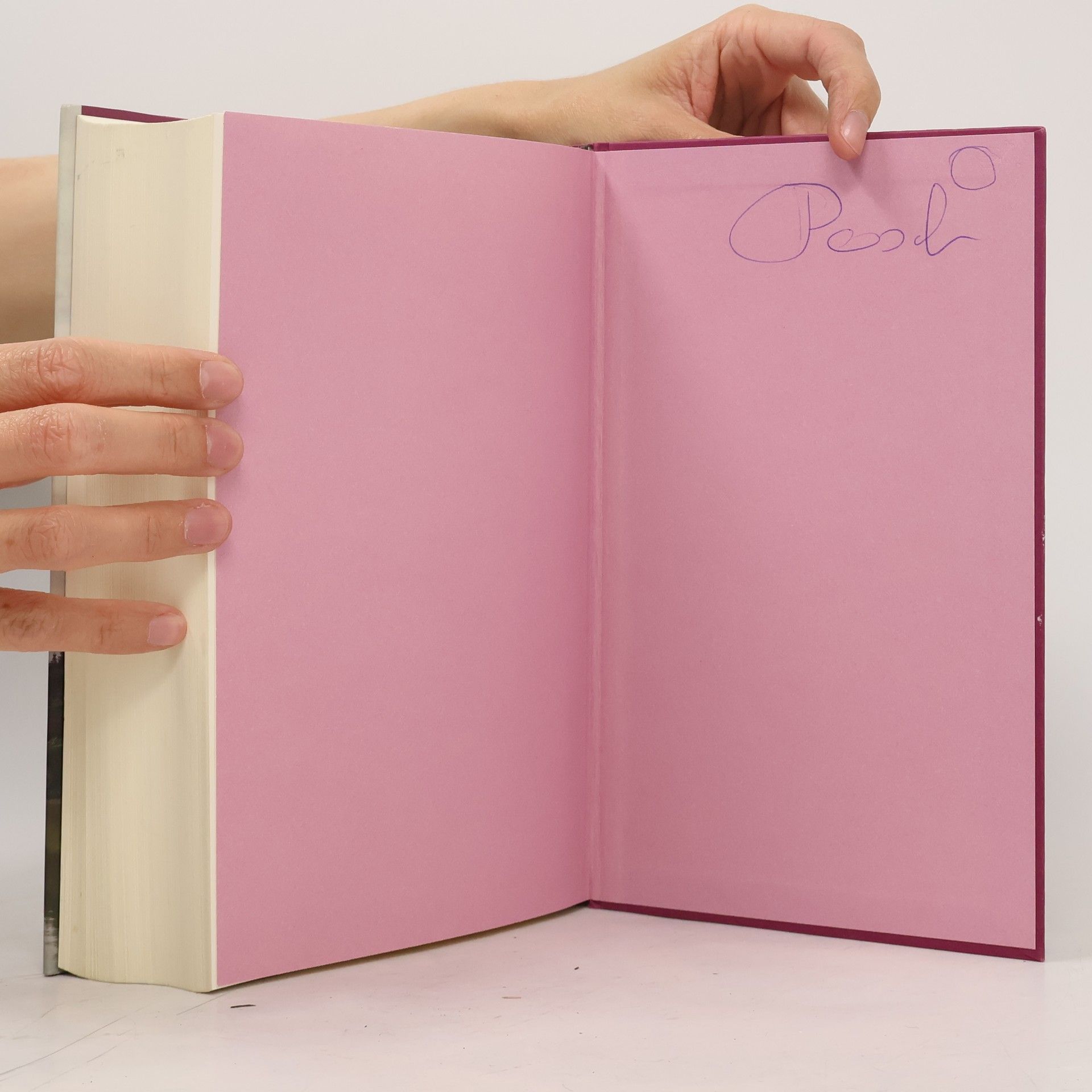 Lucinda Riley Die Mitternachtsrose