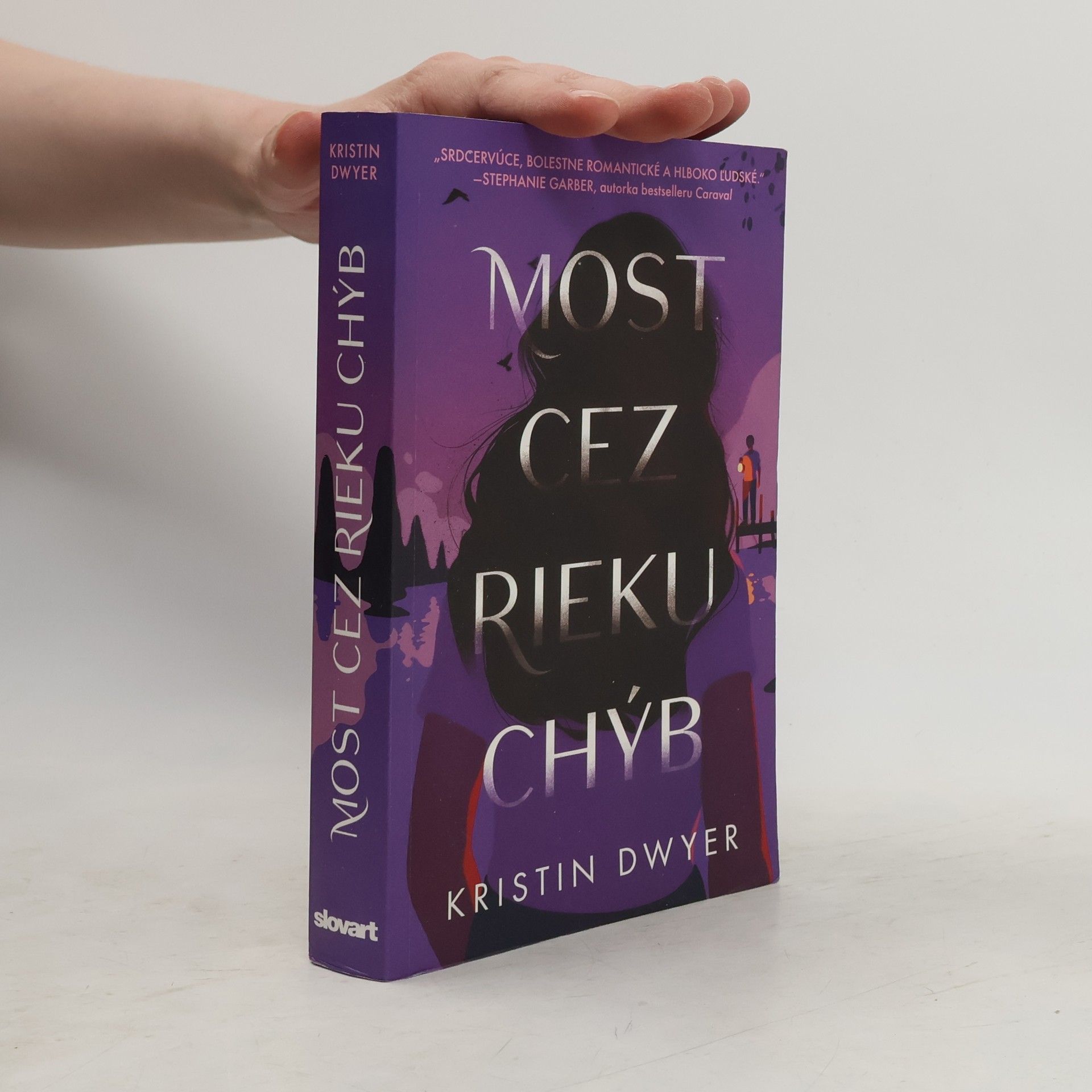 Kristin Dwyer Most cez rieku chýb