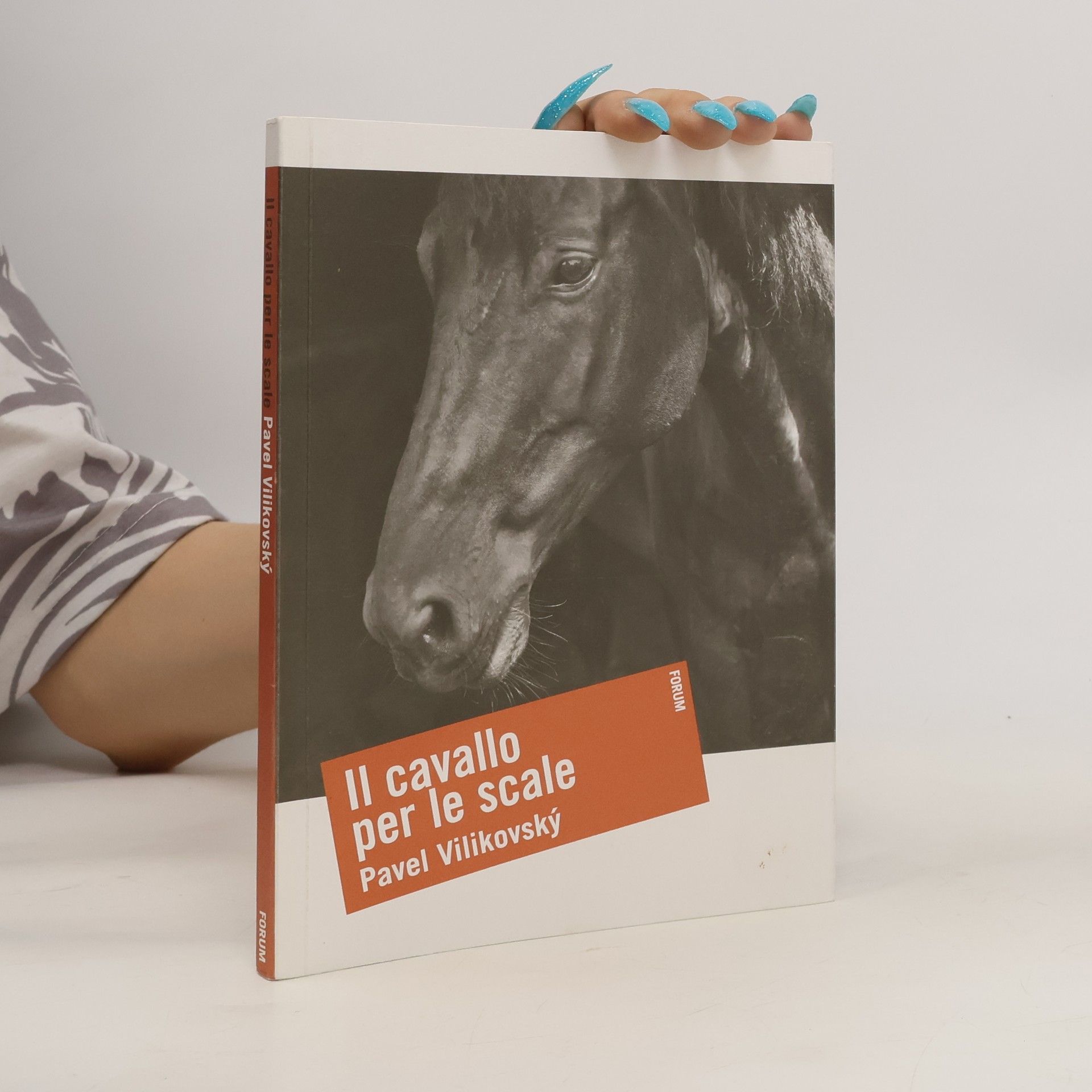 Il cavallo per le scale