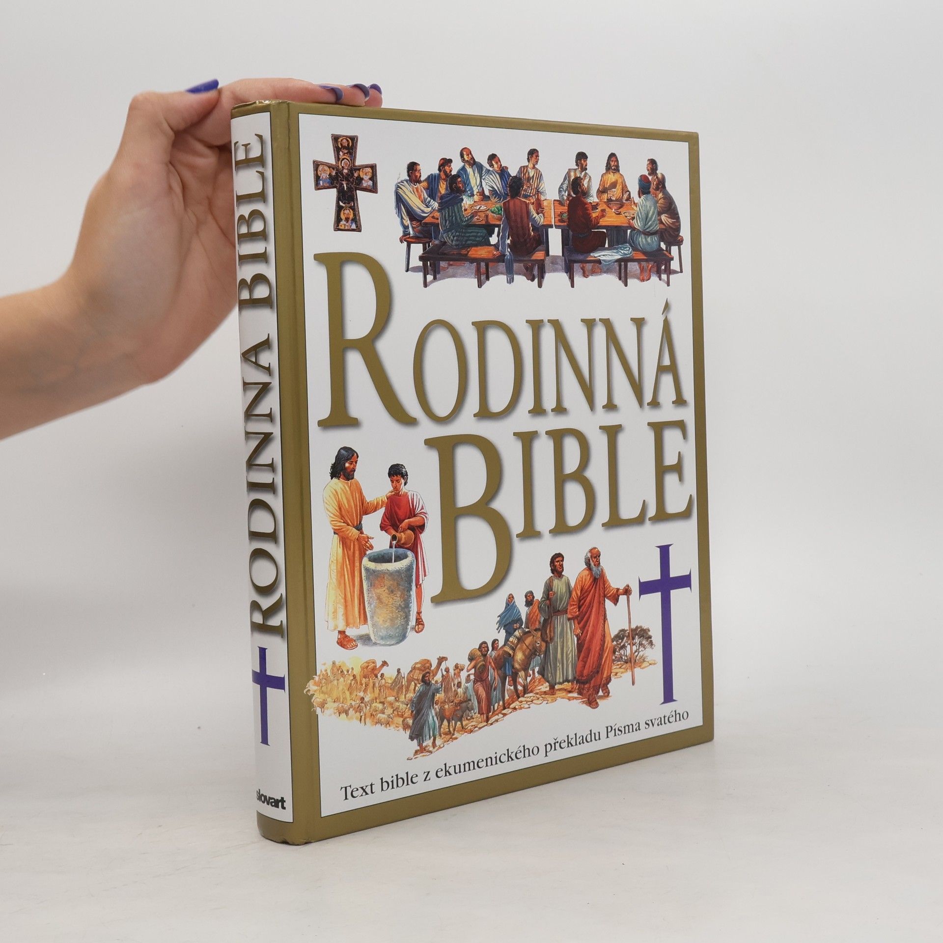 Ilustrovaná rodinná Bible